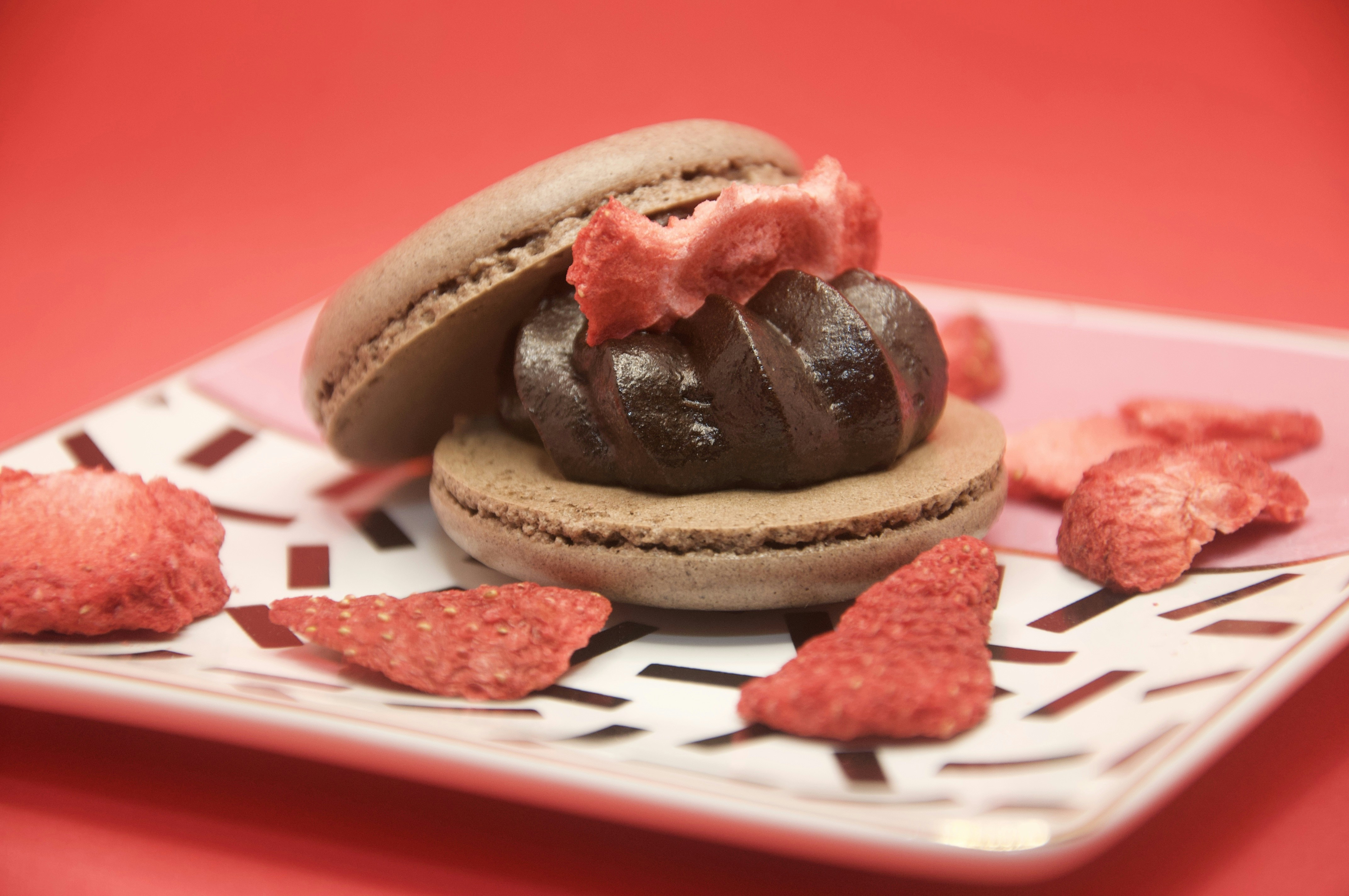 Photo by cameramandan83