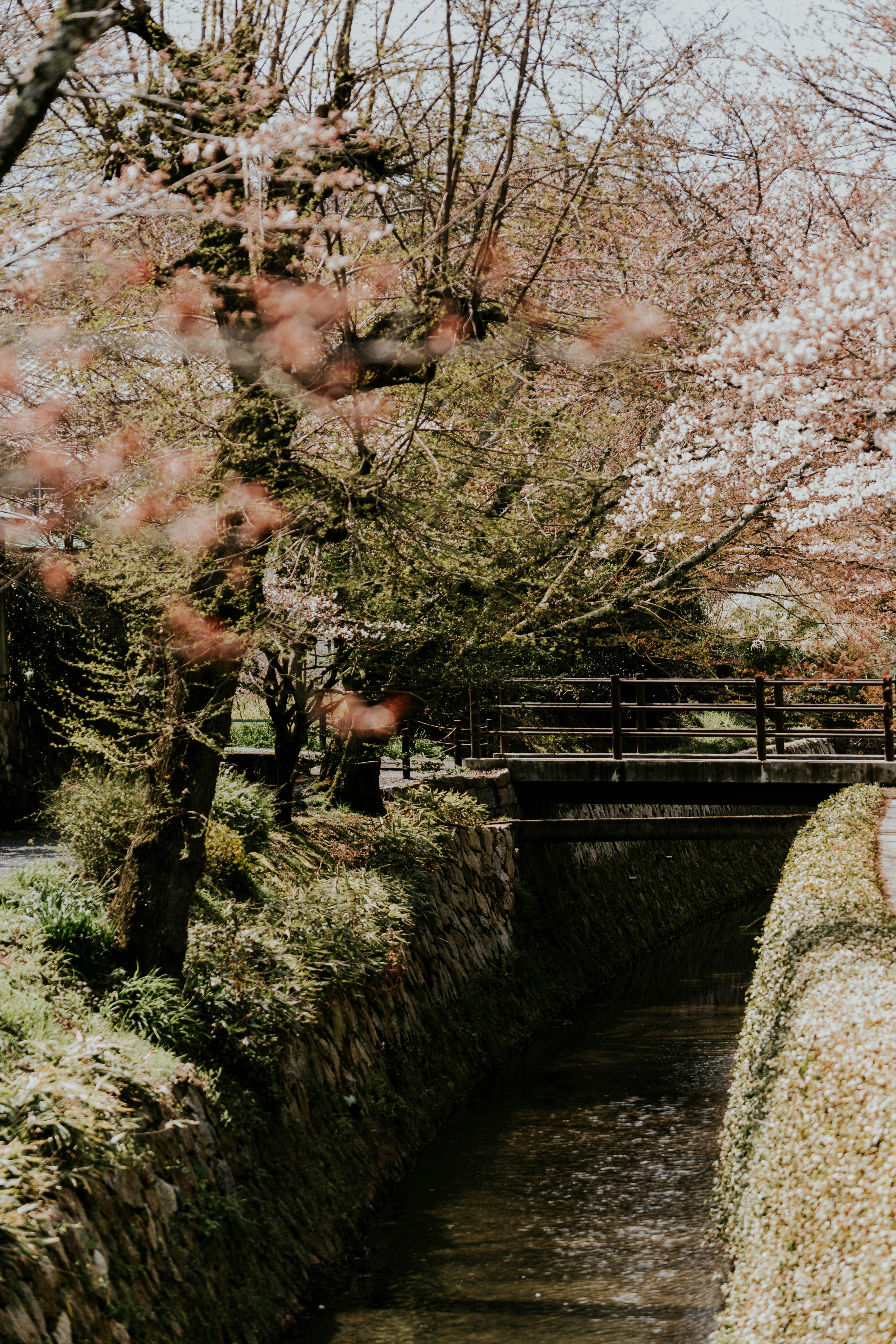 Photo by haroldwainwright