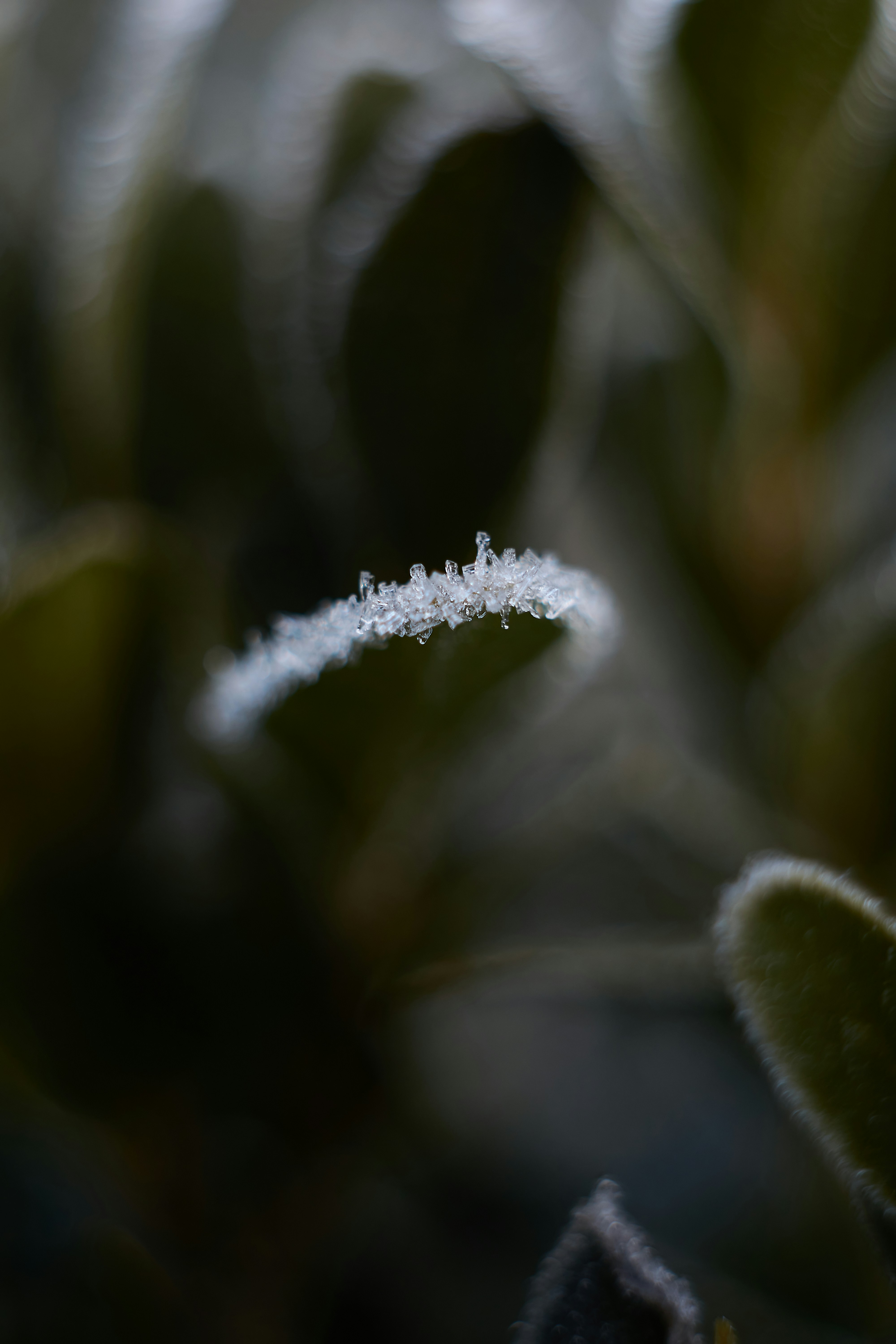 Photo by rostislavbudzan