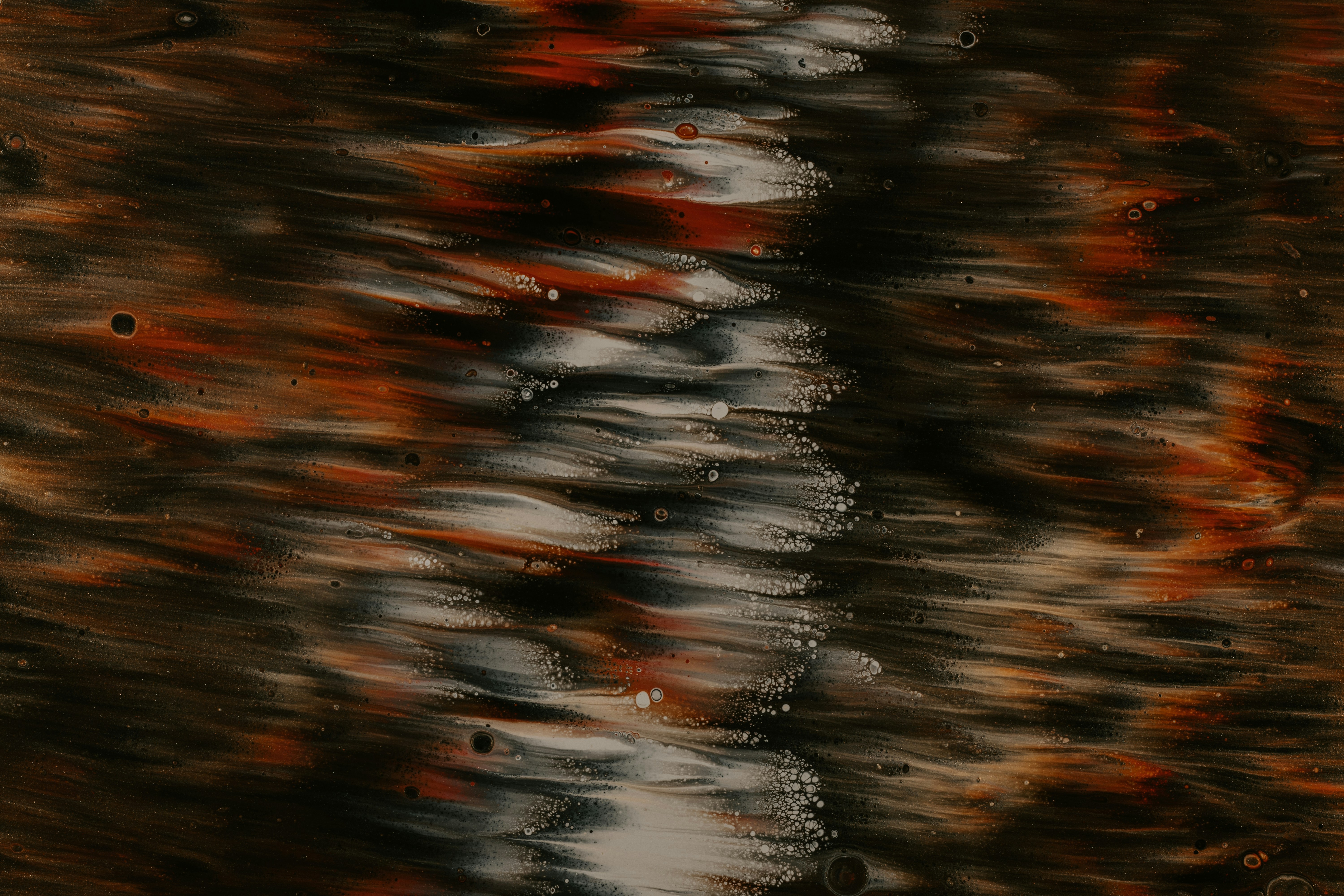 Photo by pawel_czerwinski