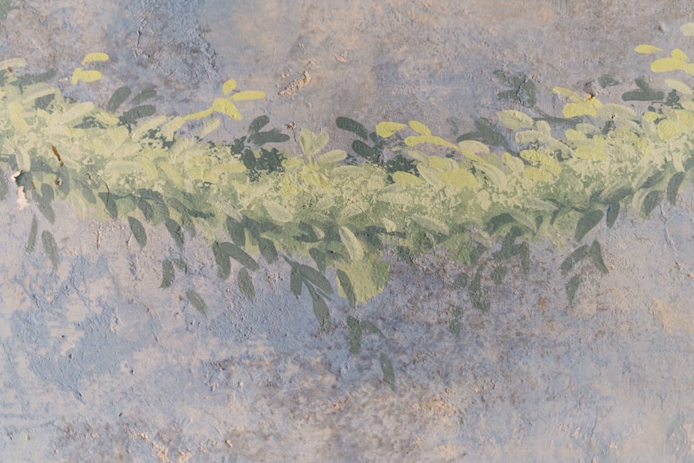 green and yellow leaves on gray concrete floor