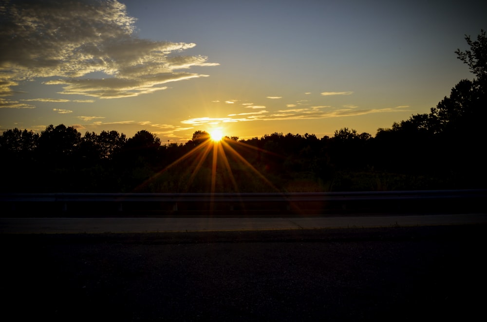 silhouette of trees during sunset