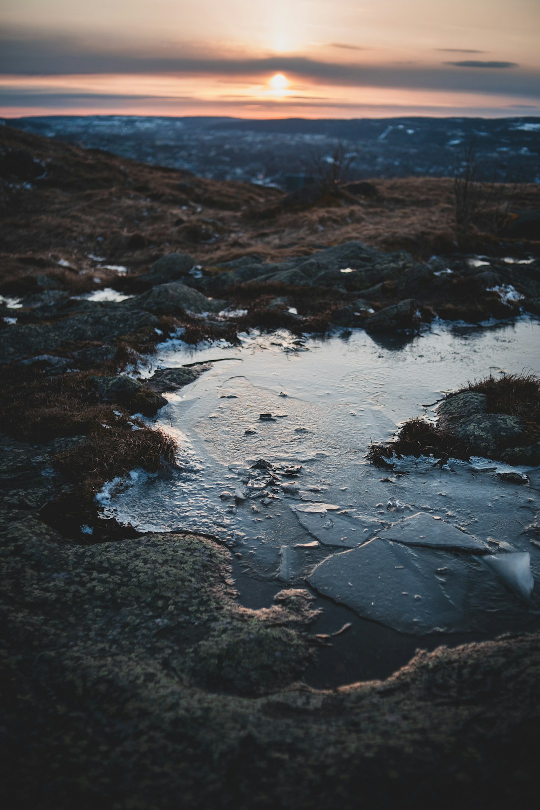 water on brown field during daytime