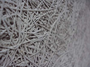 Microscopic view of advanced concrete fibers intertwined within cement matrix.