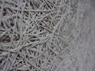 A close-up view of a textured surface that appears to be made of intertwined, fibrous materials. The composition primarily consists of numerous thin strands tightly packed together in an intricate, almost chaotic arrangement. The image captures the fine details and rough texture of the material.