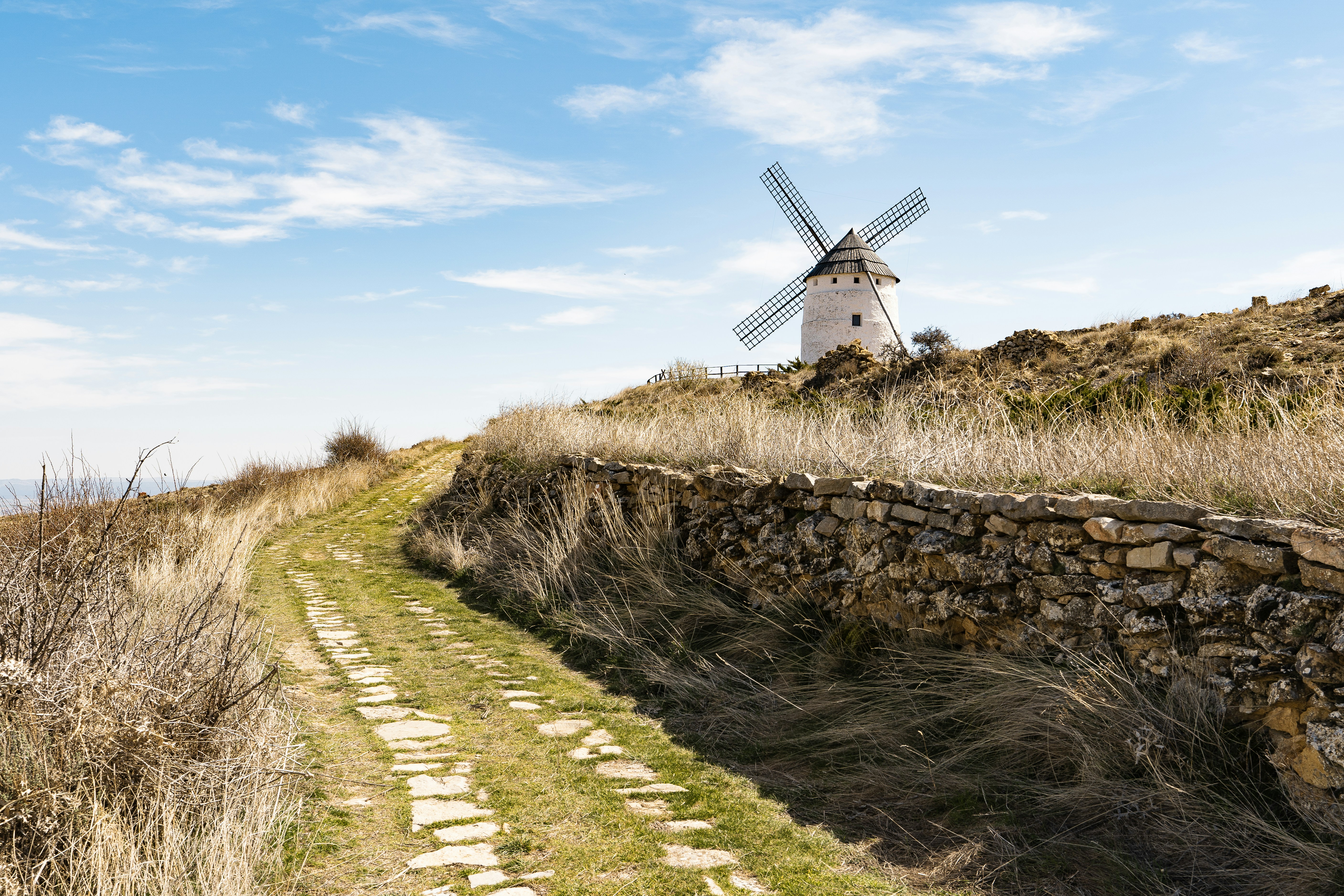 white windmill on green grass field under blue sky during dayti…