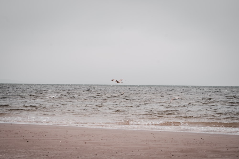 person surfing on sea waves during daytime