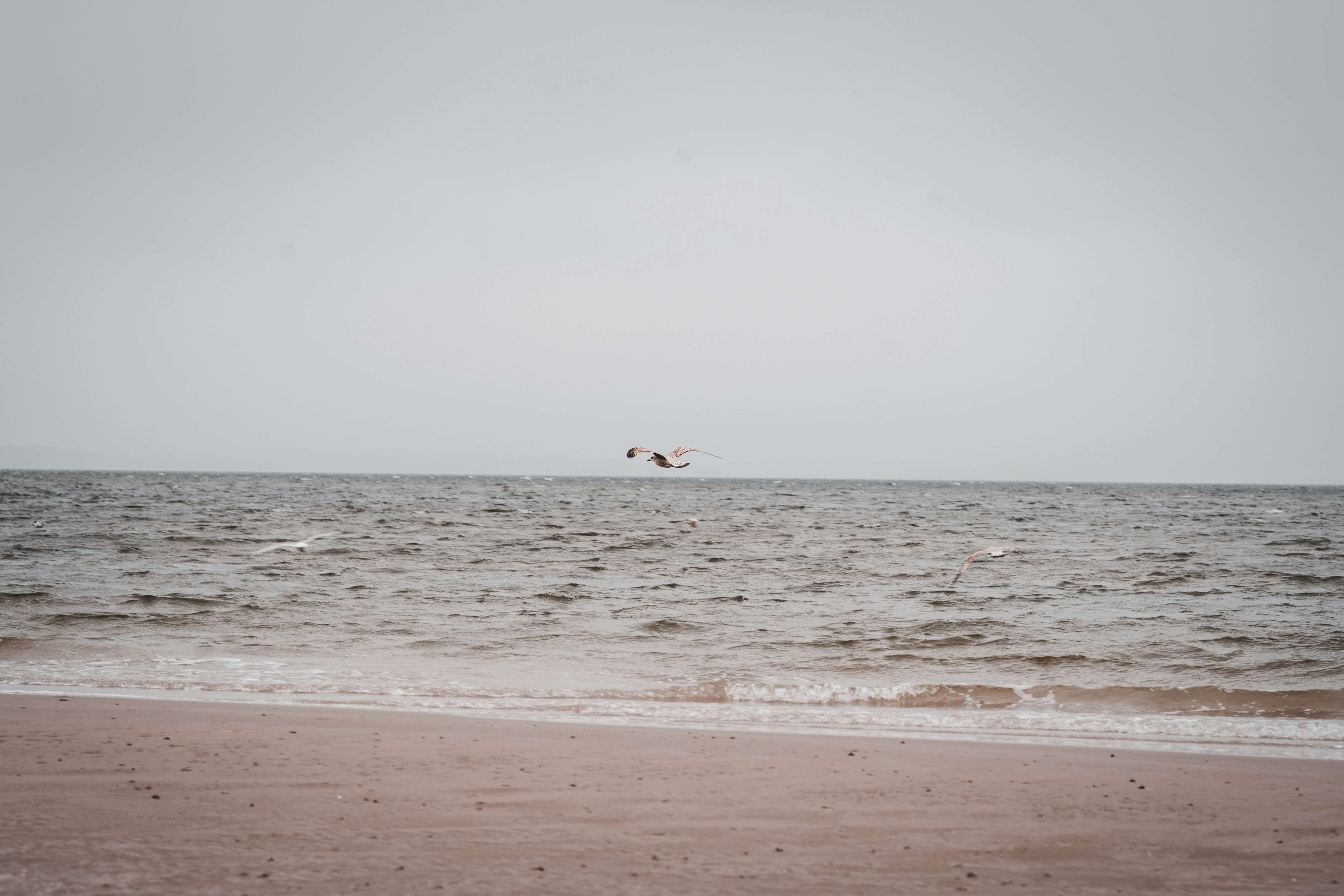 person surfing on sea waves during daytime