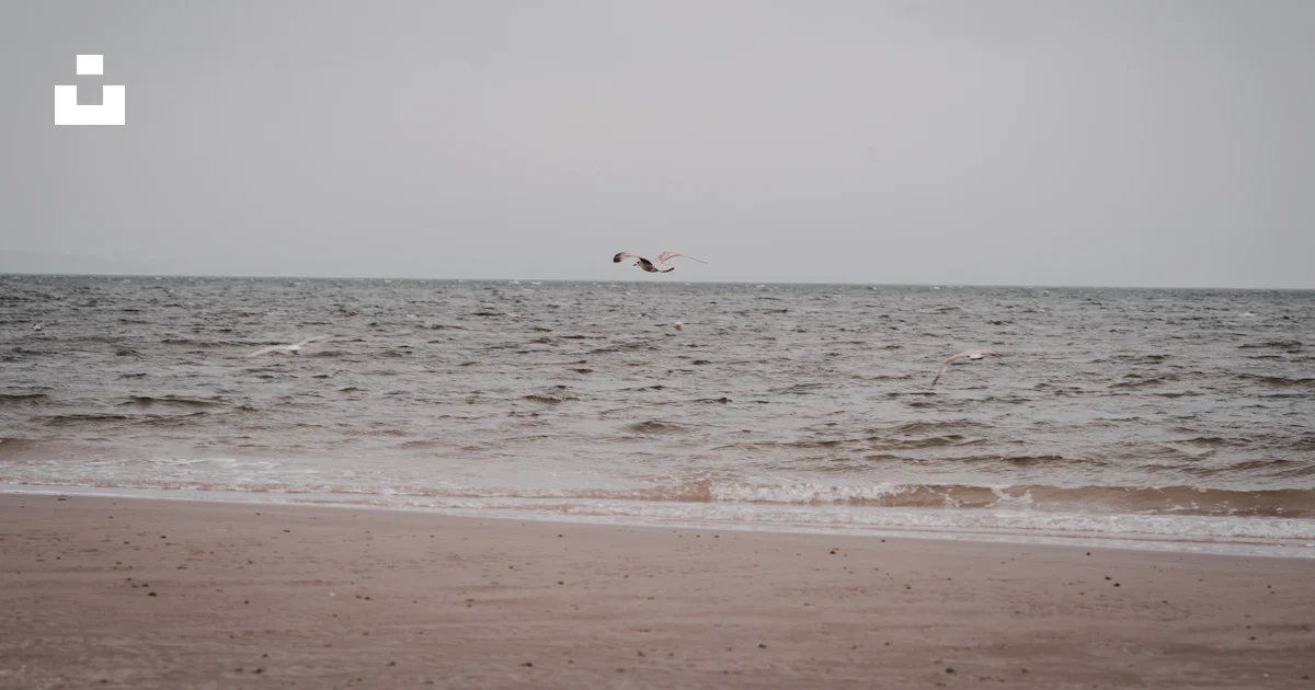 Dumpy Wave Surfing Person surfing on sea waves during daytime photo – Free Grey Image on ...