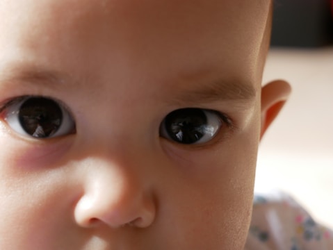 A close-up of a baby’s curious eyes during a soft, natural light photoshoot.