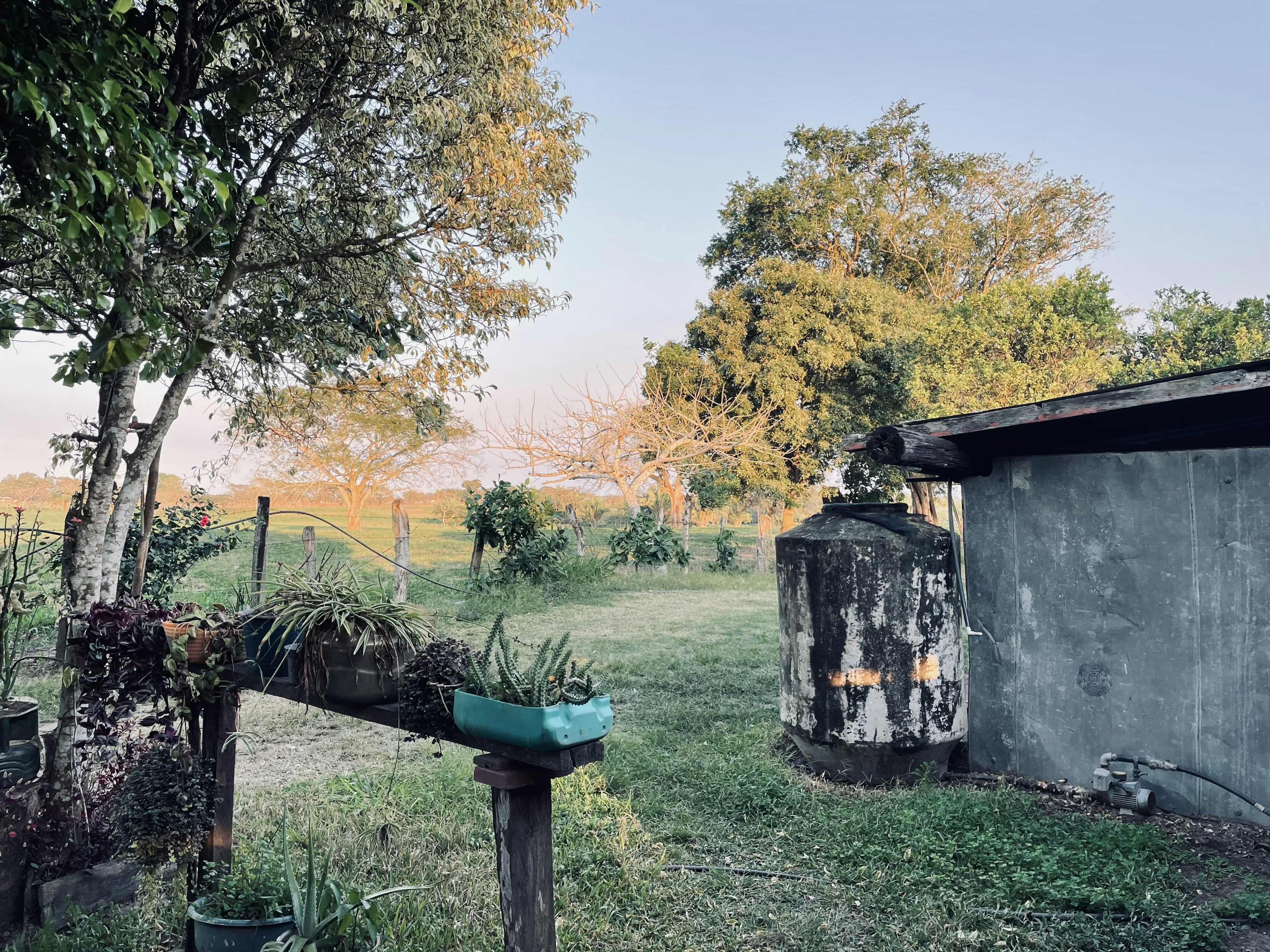 Depósito Jardín Eco