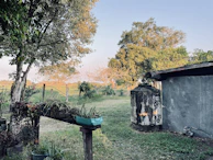 A beautiful outdoor scene showcasing multiple outdoor products.