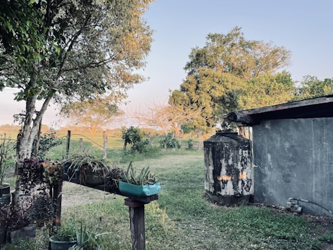 A rustic rainwater collection system beside rows of thriving vegetable plants on a sunny day.