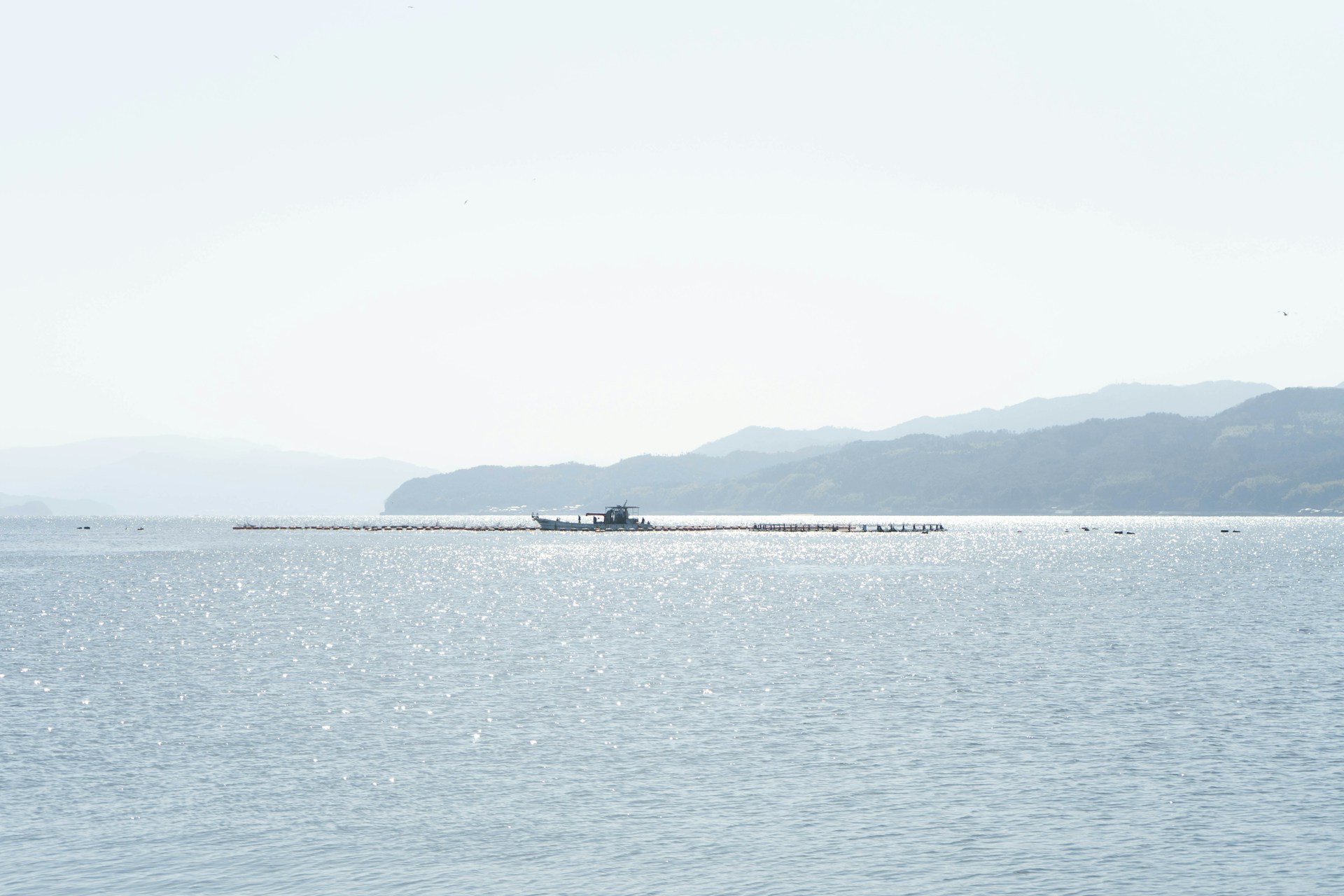 boat on sea during daytime