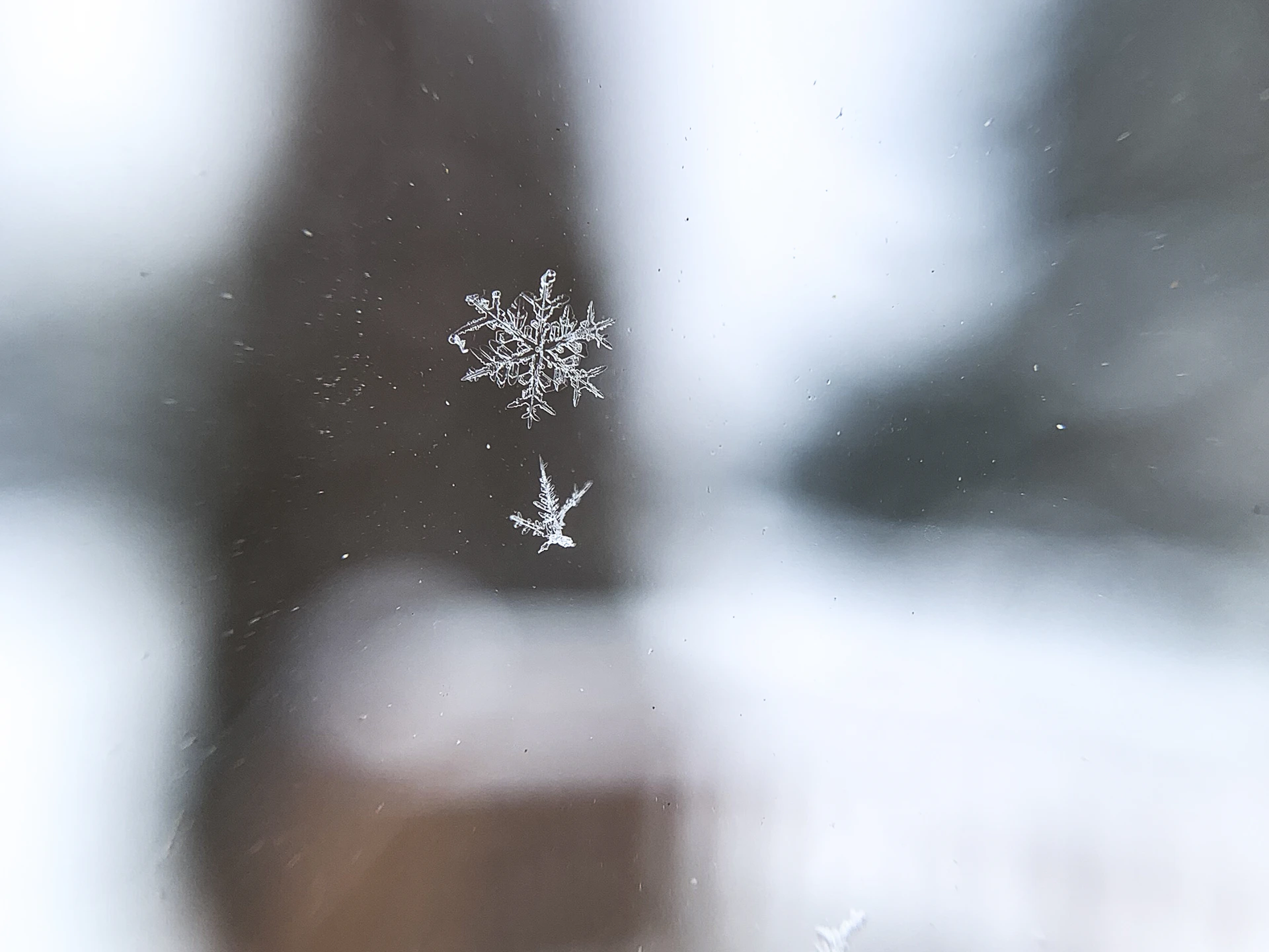 gray computer monitor