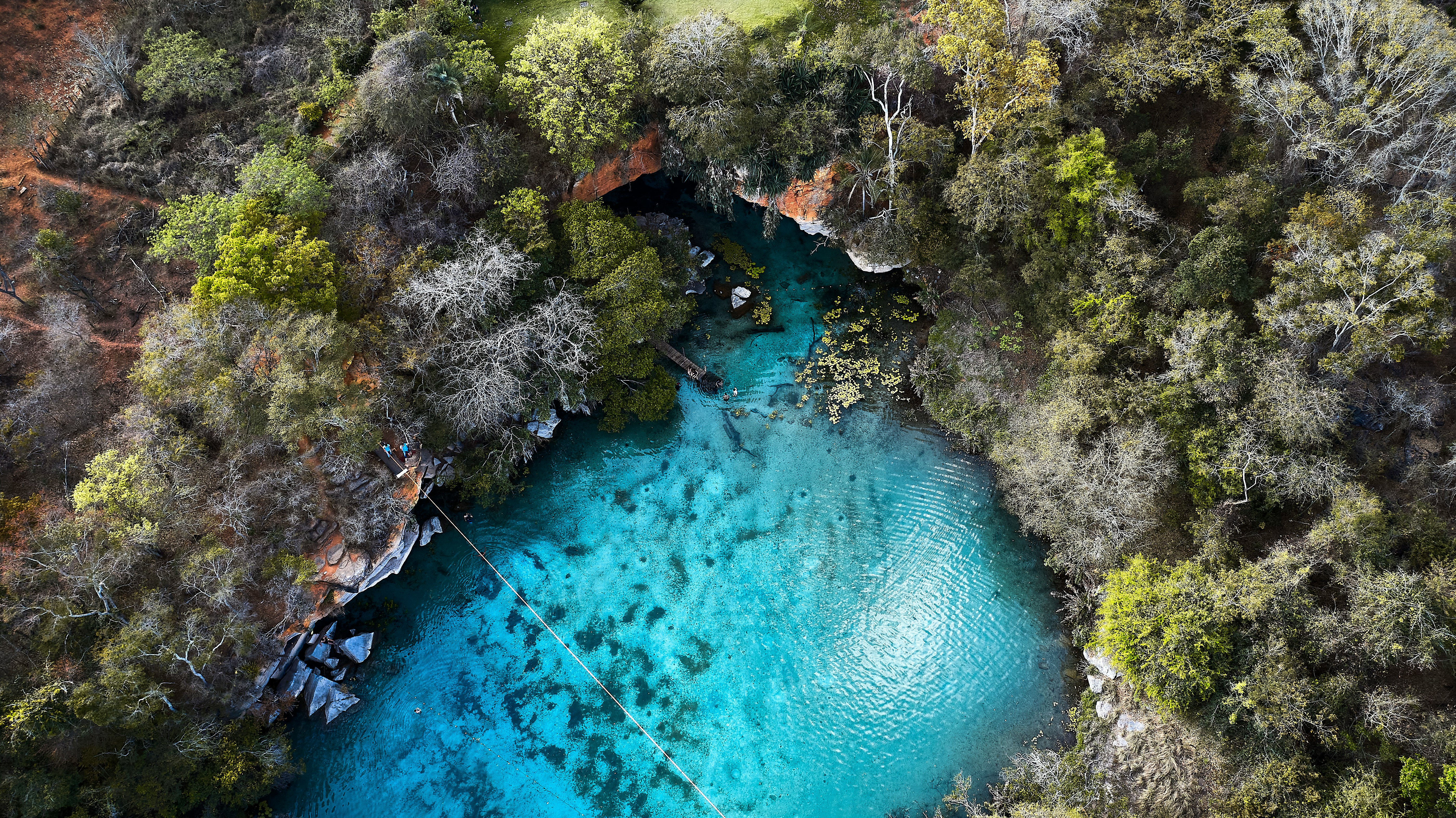 green and brown trees beside blue body of water during daytime