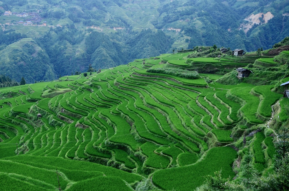 green grass field near mountain during daytime