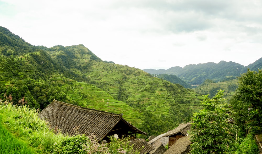 brown wooden house on green grass field near mountain during daytime