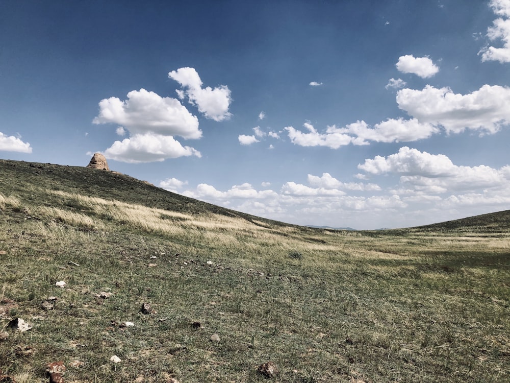 Grünes Grasfeld unter blauem Himmel und weißen Wolken tagsüber