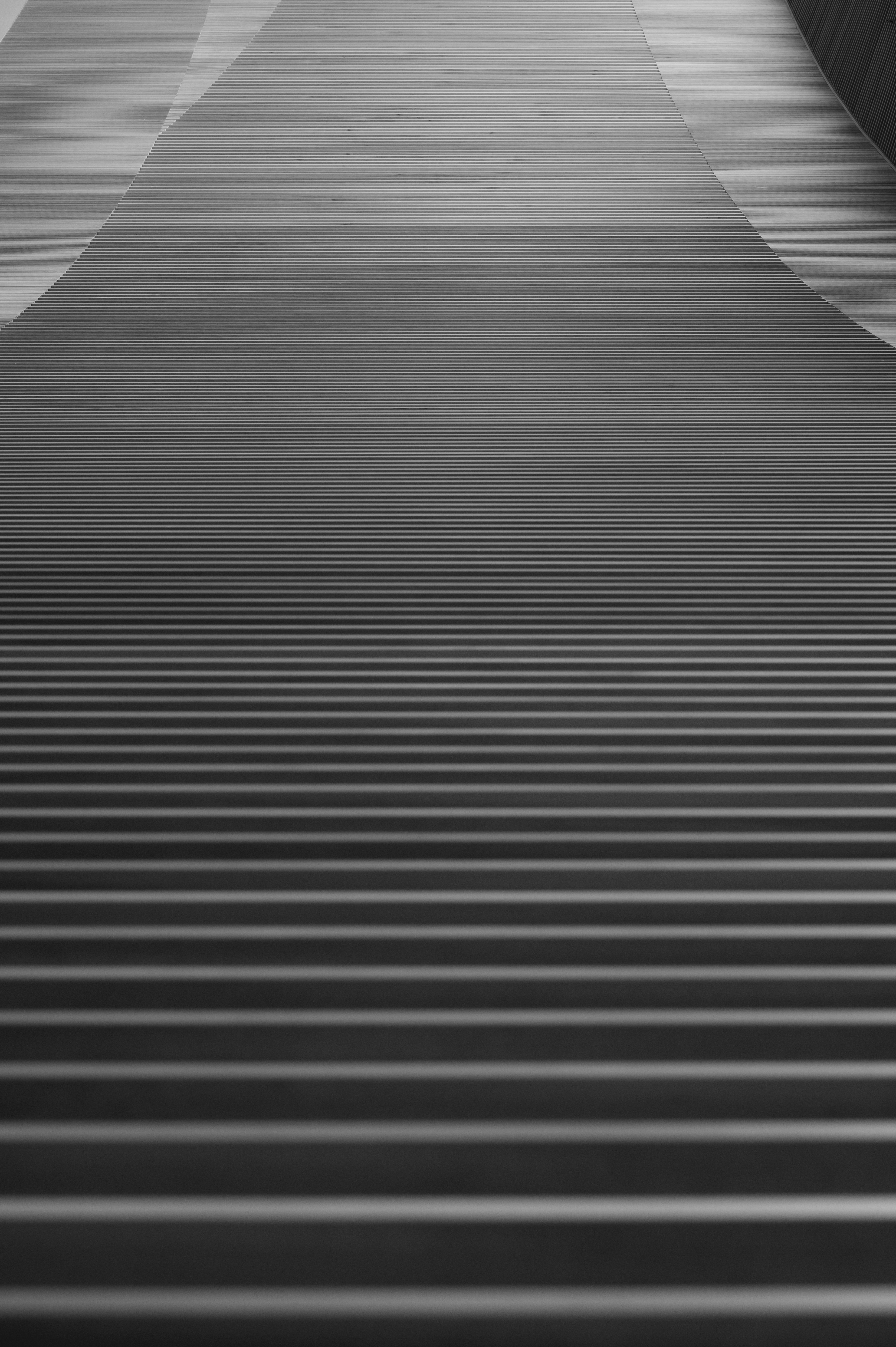 Photo by ryunosuke_kikuno