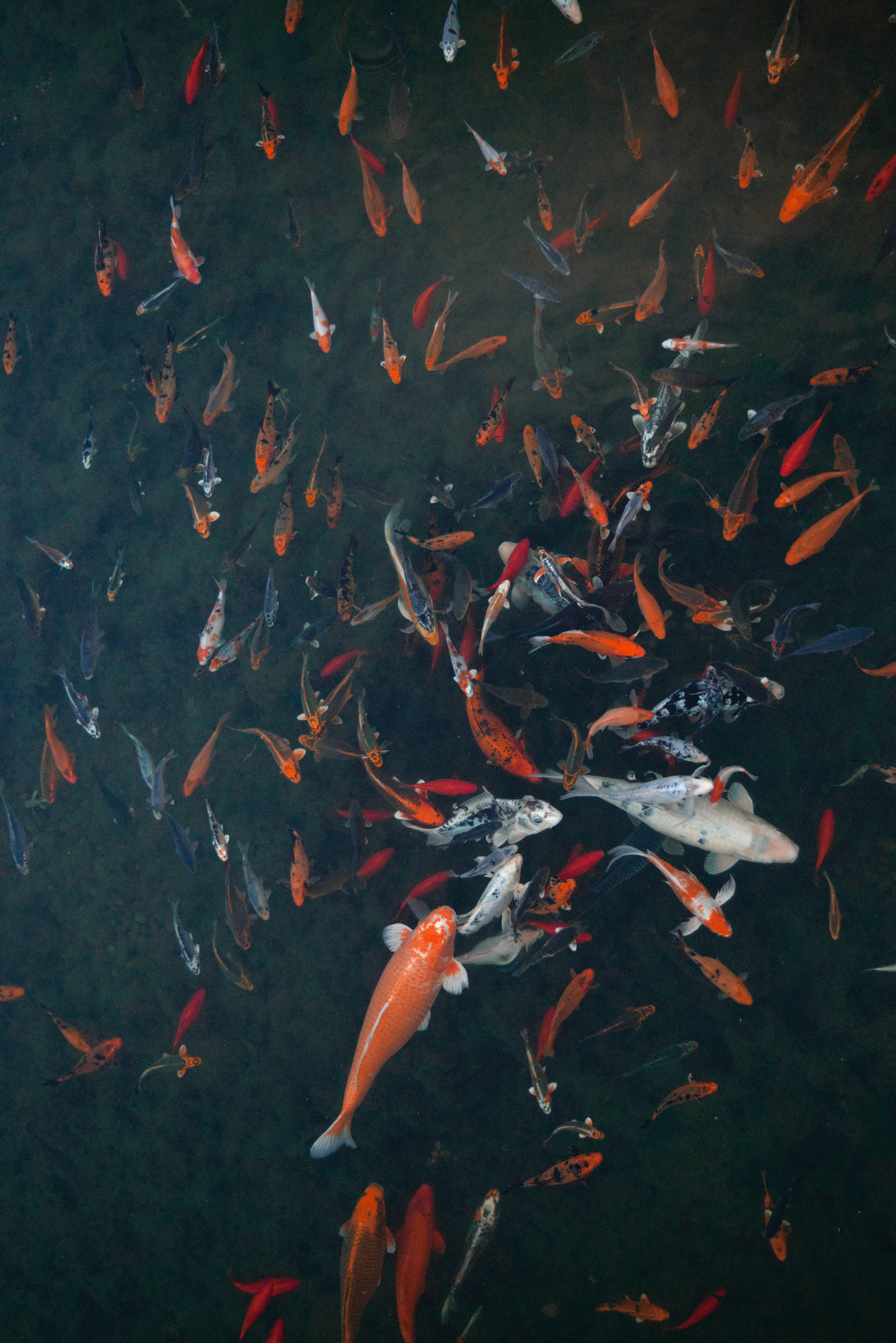 Photo by ldpeterson11