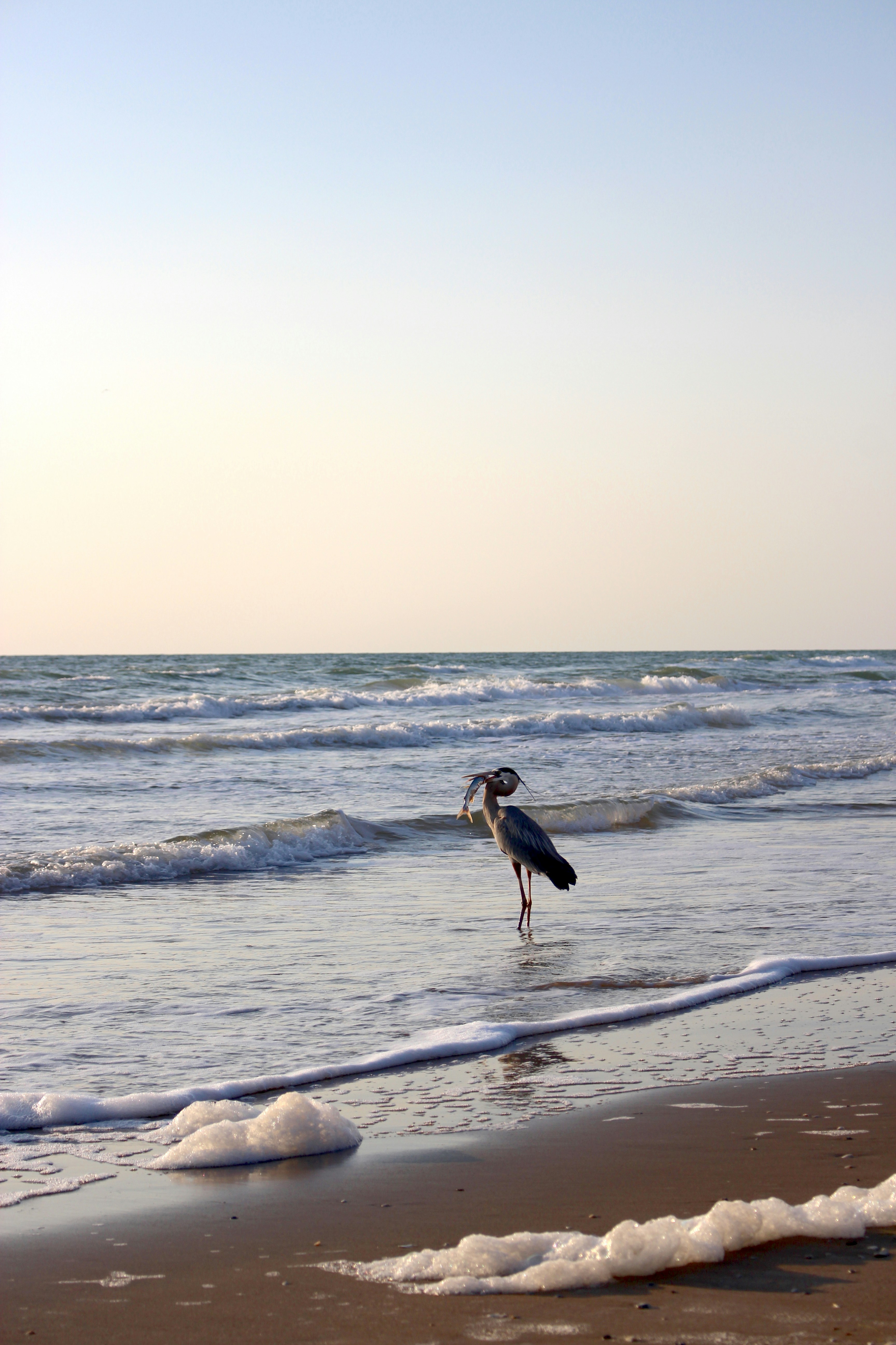 woman in black dress standing on beach during daytime