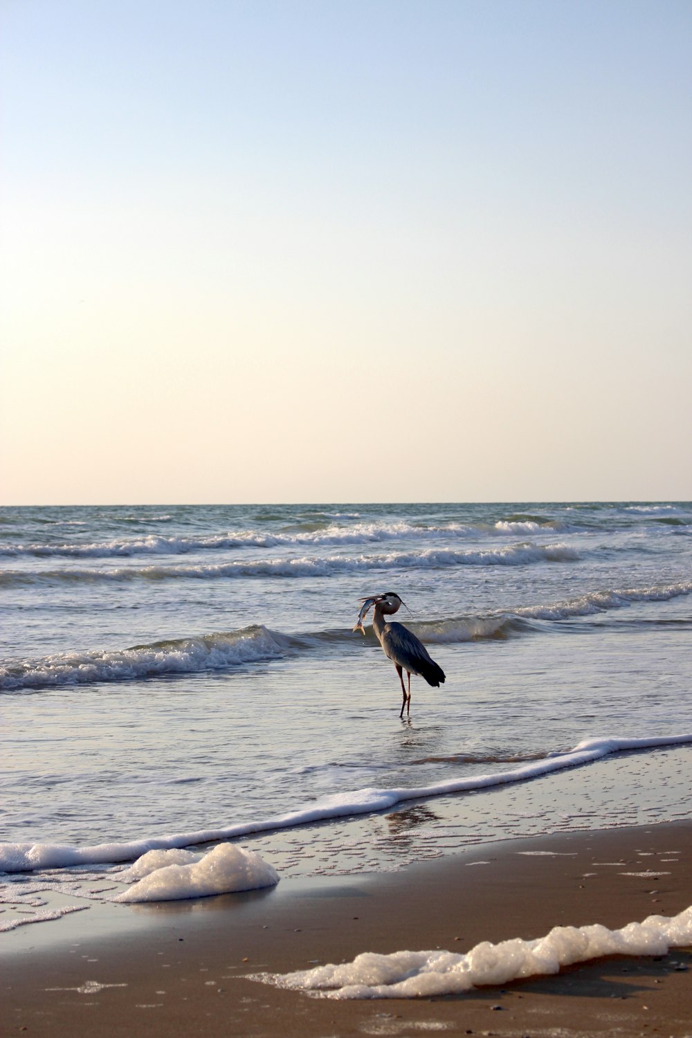 woman in black dress standing on beach during daytime