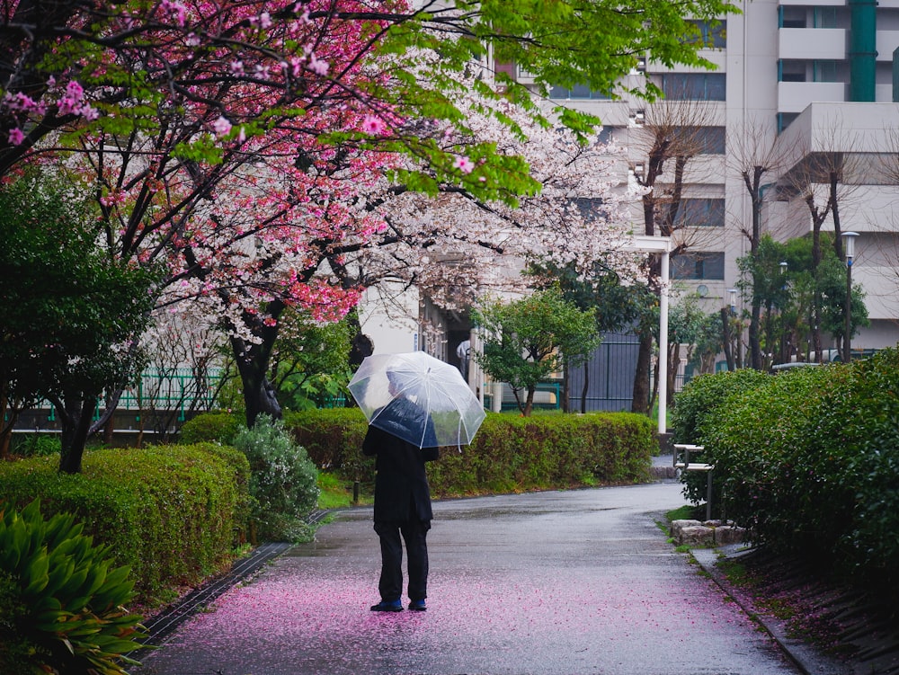 昼間、歩道を歩く白い傘をさした人
