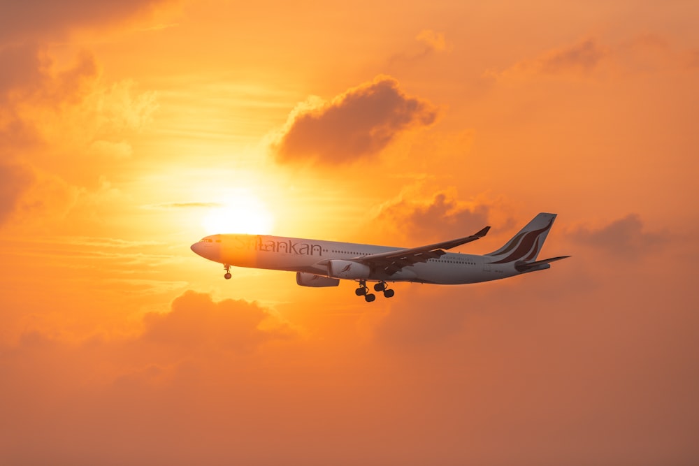 white and red airplane flying in the sky during sunset