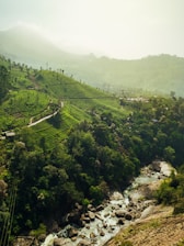 green trees on mountain during daytime