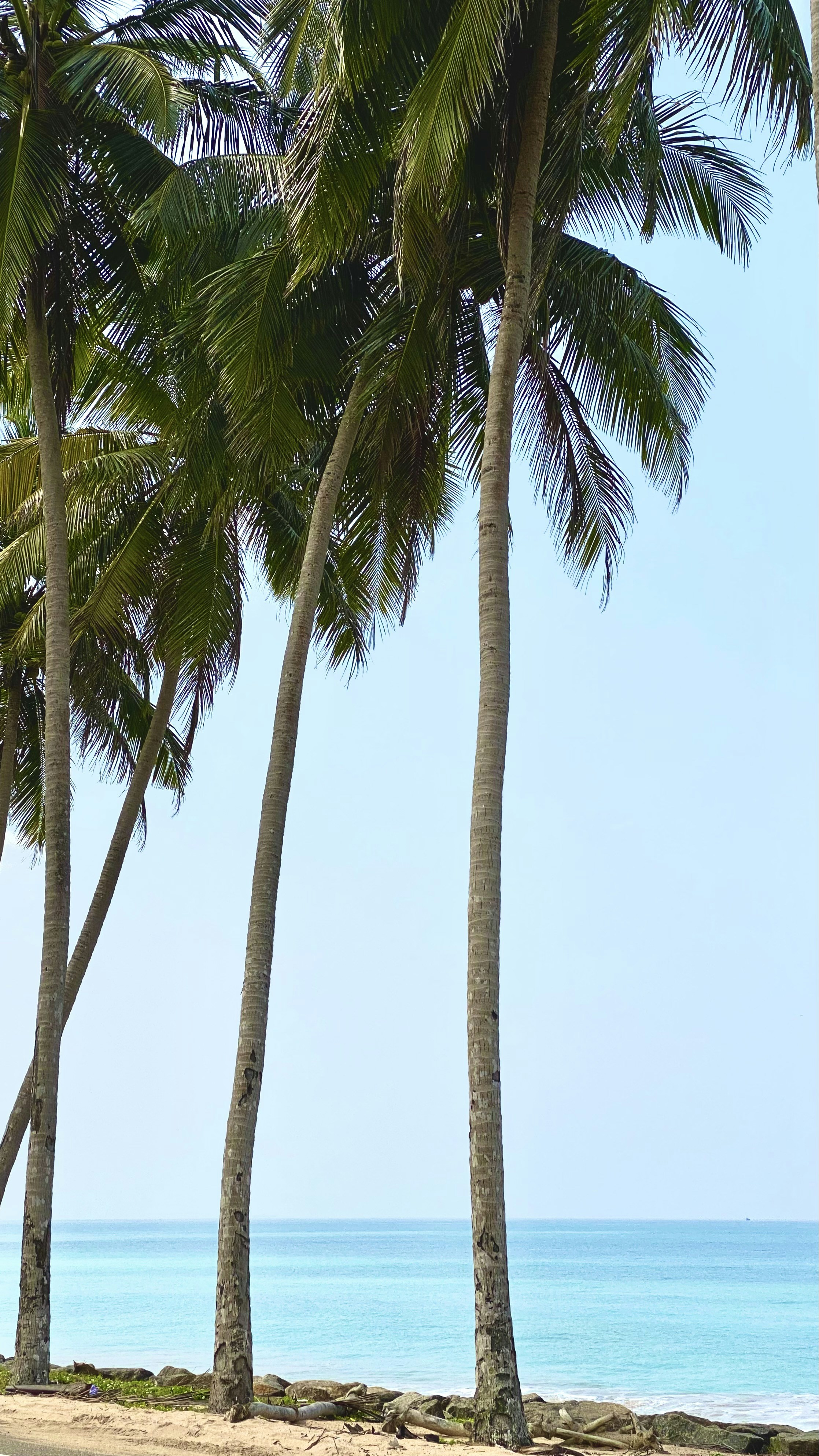 Photo by shehansenev18