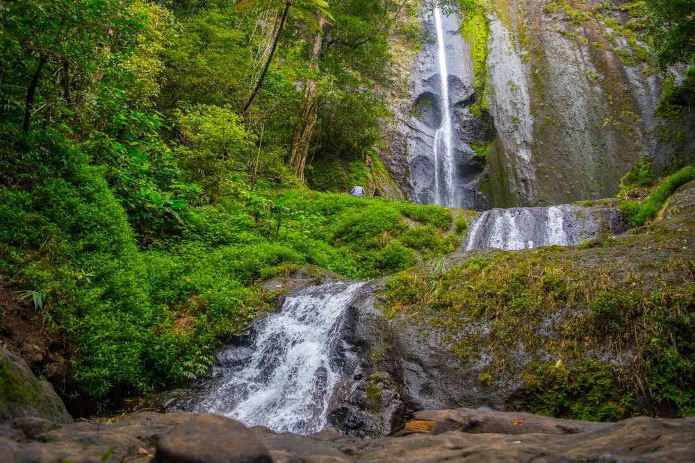 waterfalls in the middle of the forest