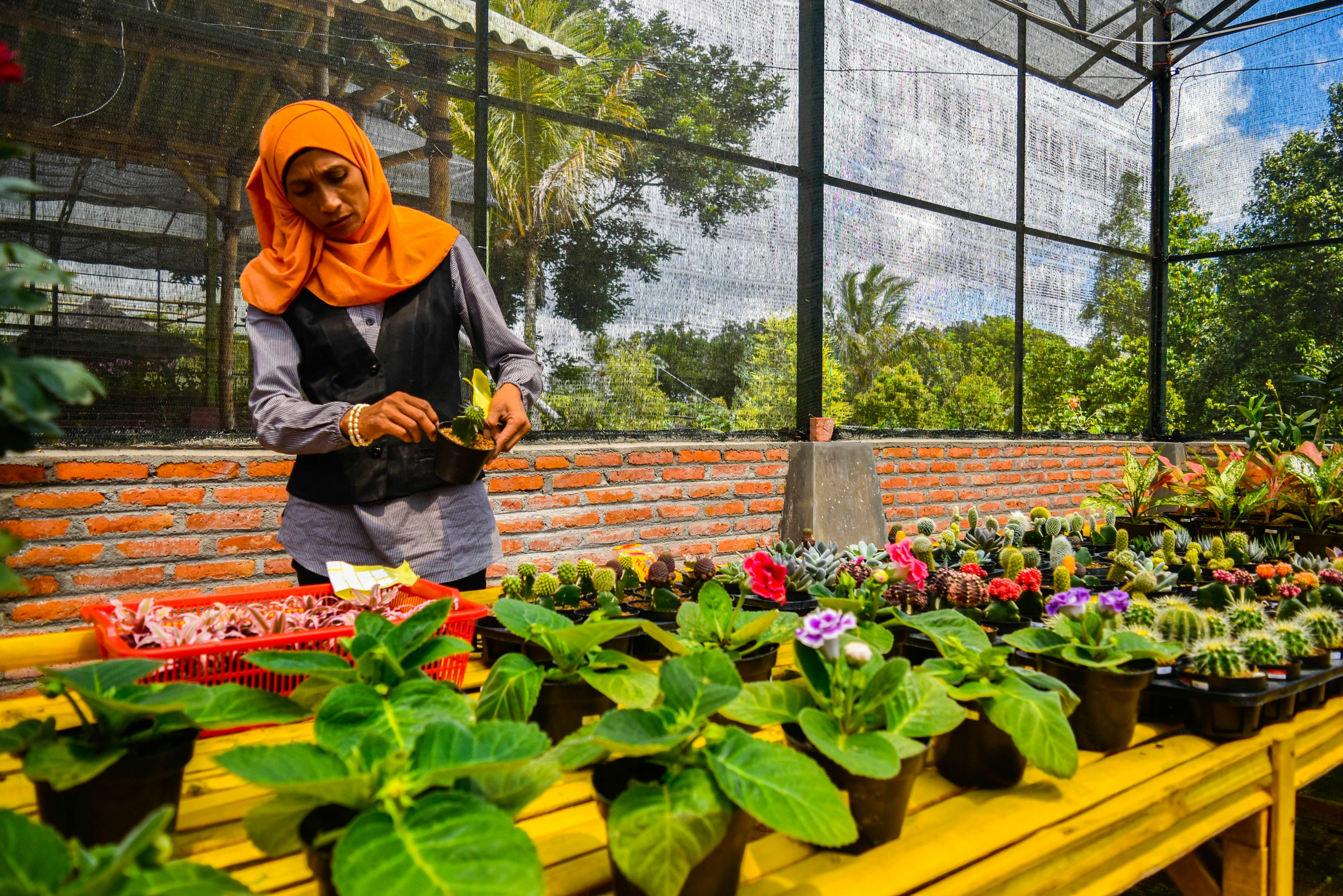 woman in black long sleeve shirt and yellow hijab holding red plastic basket with green leaves