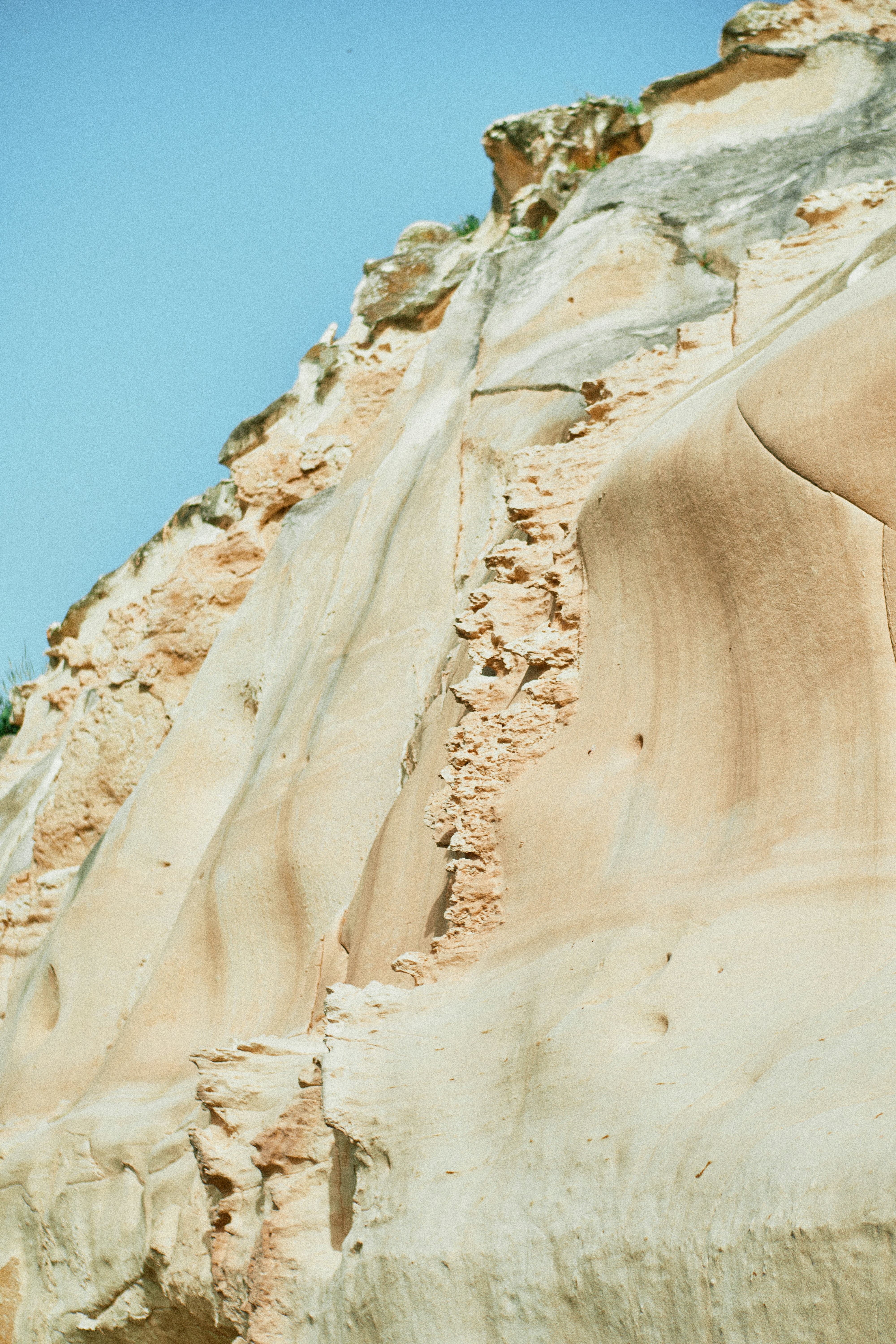 Photo by ficklesupreme