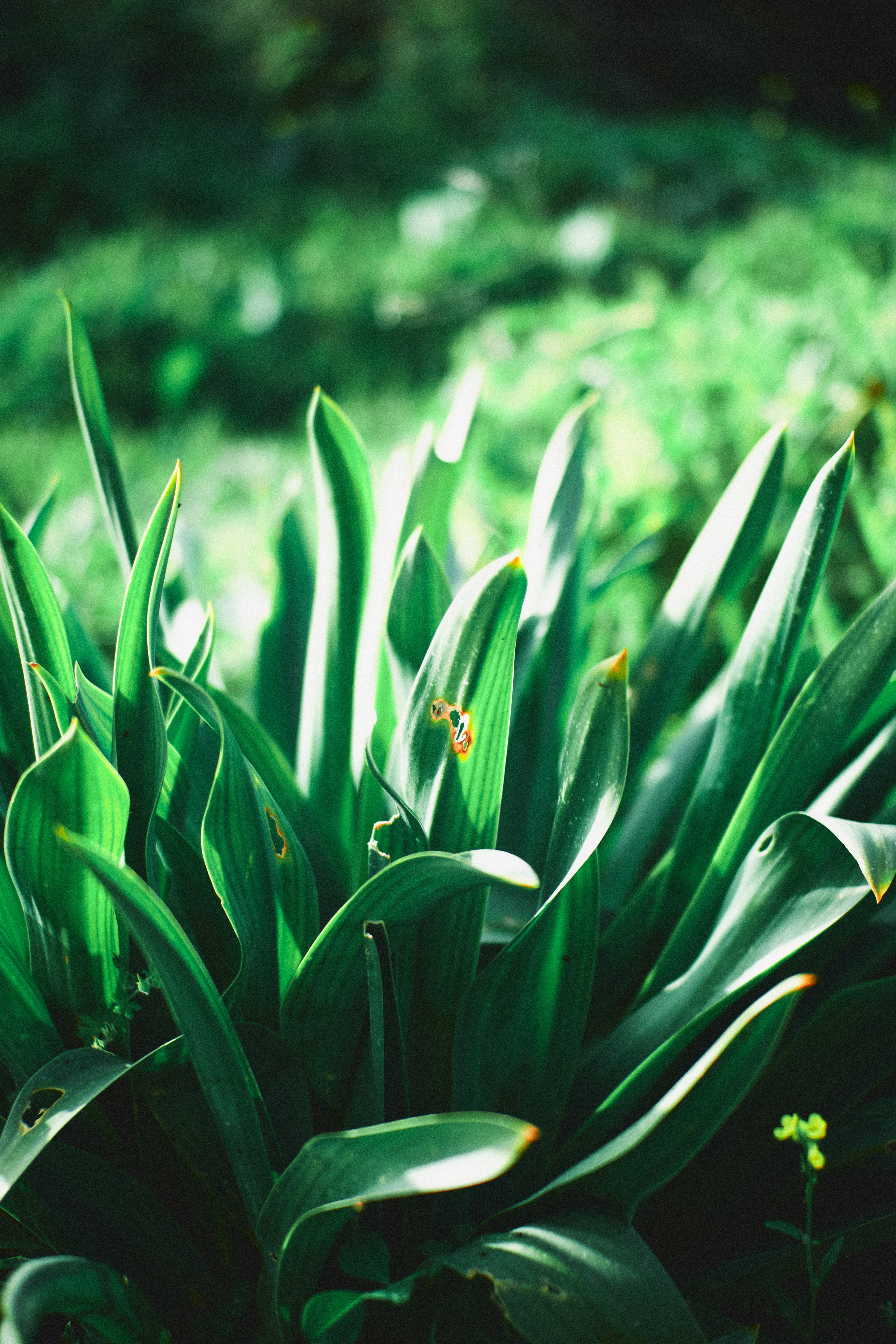 Photo by ficklesupreme