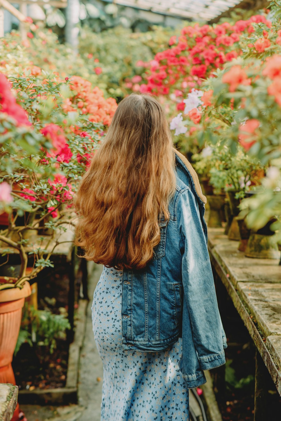 woman in blue denim jacket standing on wooden bridge during daytime