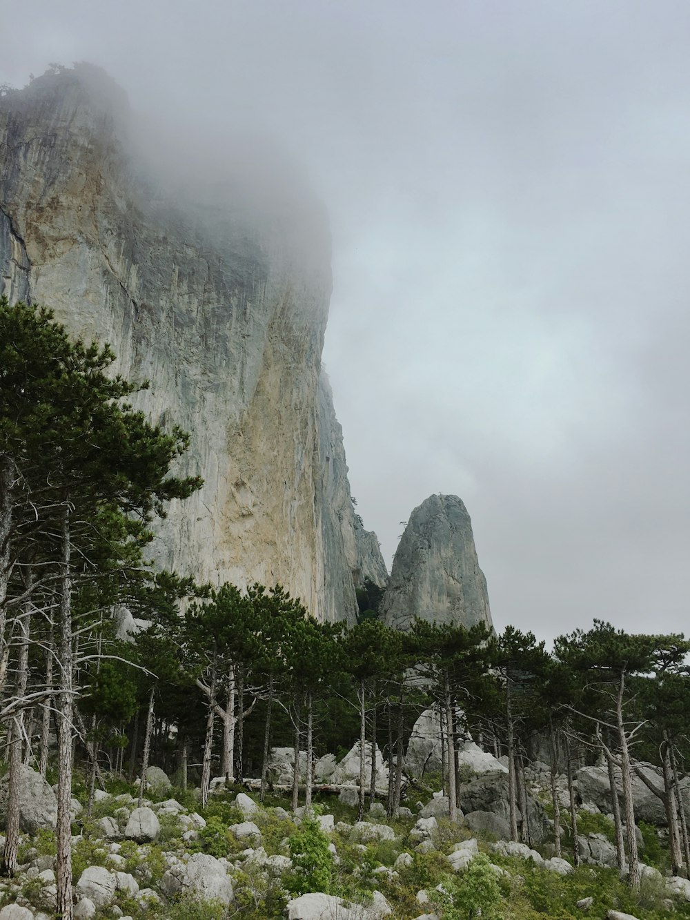 green trees near gray rock formation during daytime