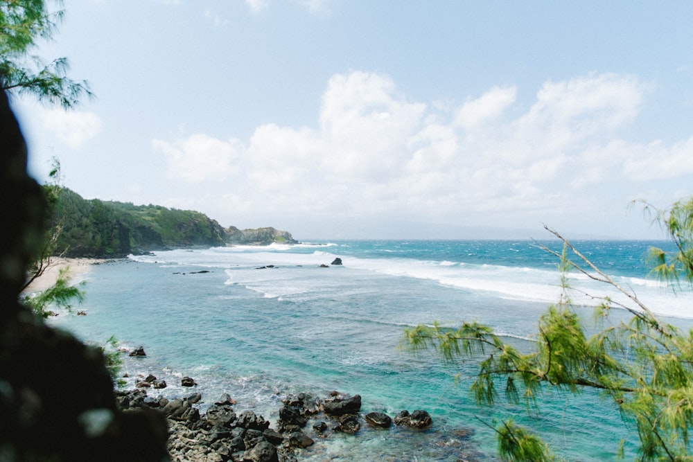 green grass on rocky shore during daytime