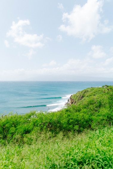 A vibrant coastal landscape in Oaxaca showing lush greenery meeting the Pacific Ocean under a clear blue sky.