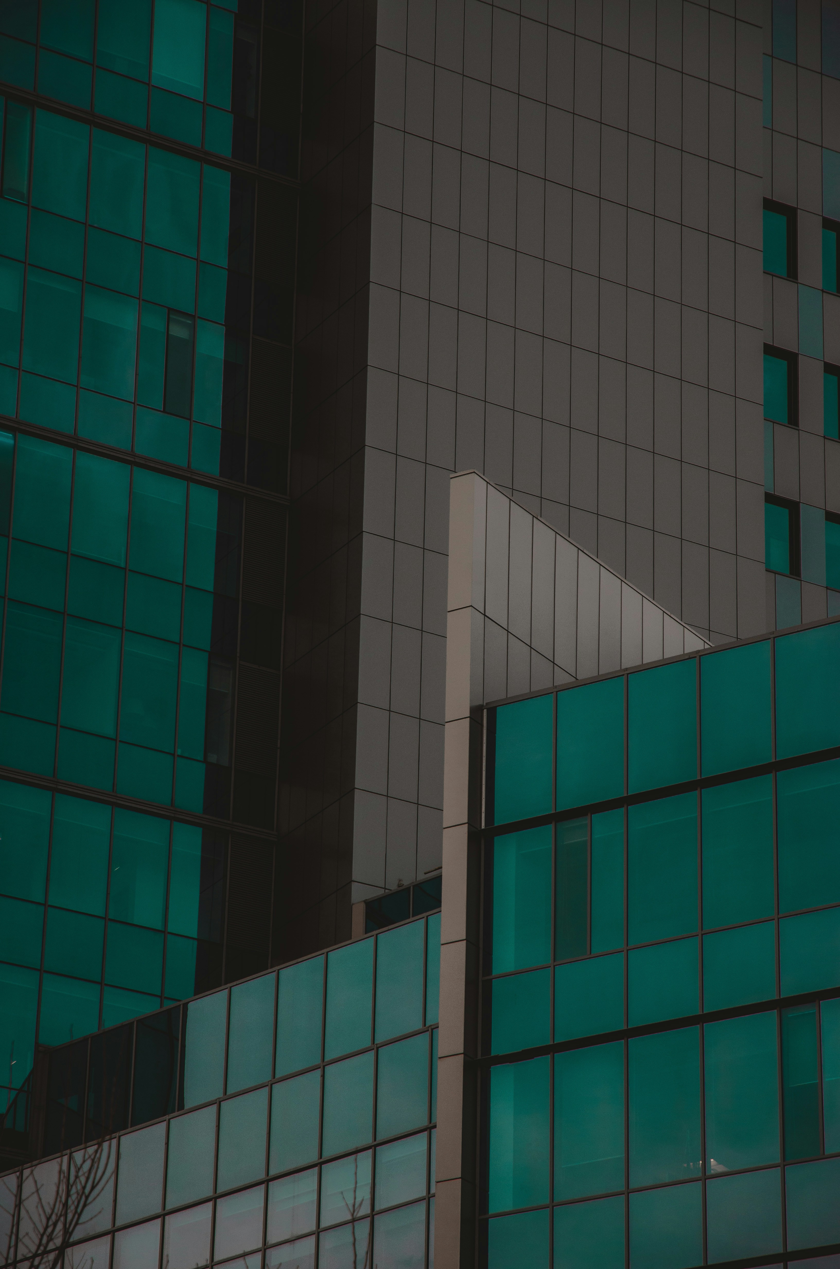 Photo by david_cristocea