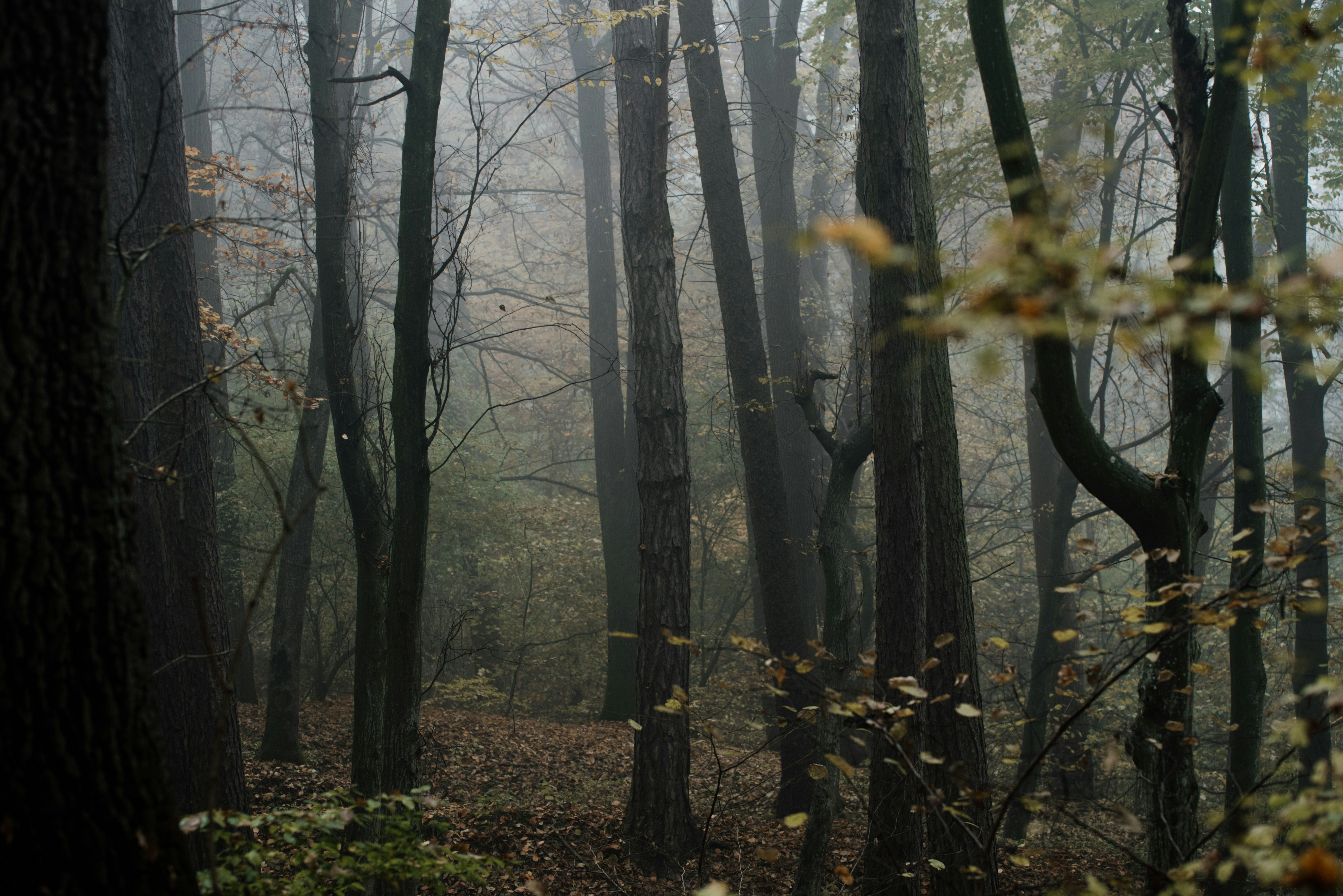 Photo by eduardgross