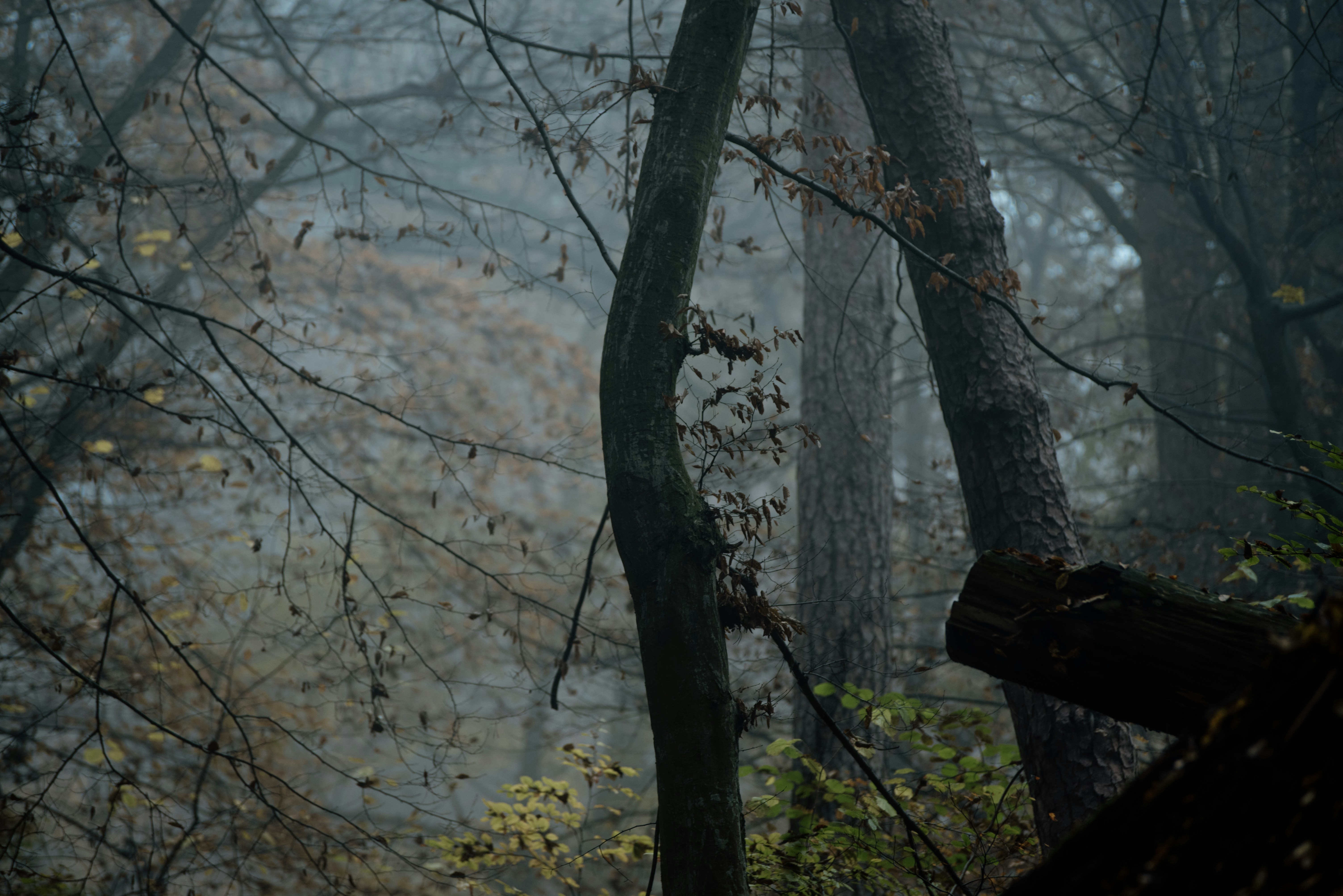 Photo by eduardgross