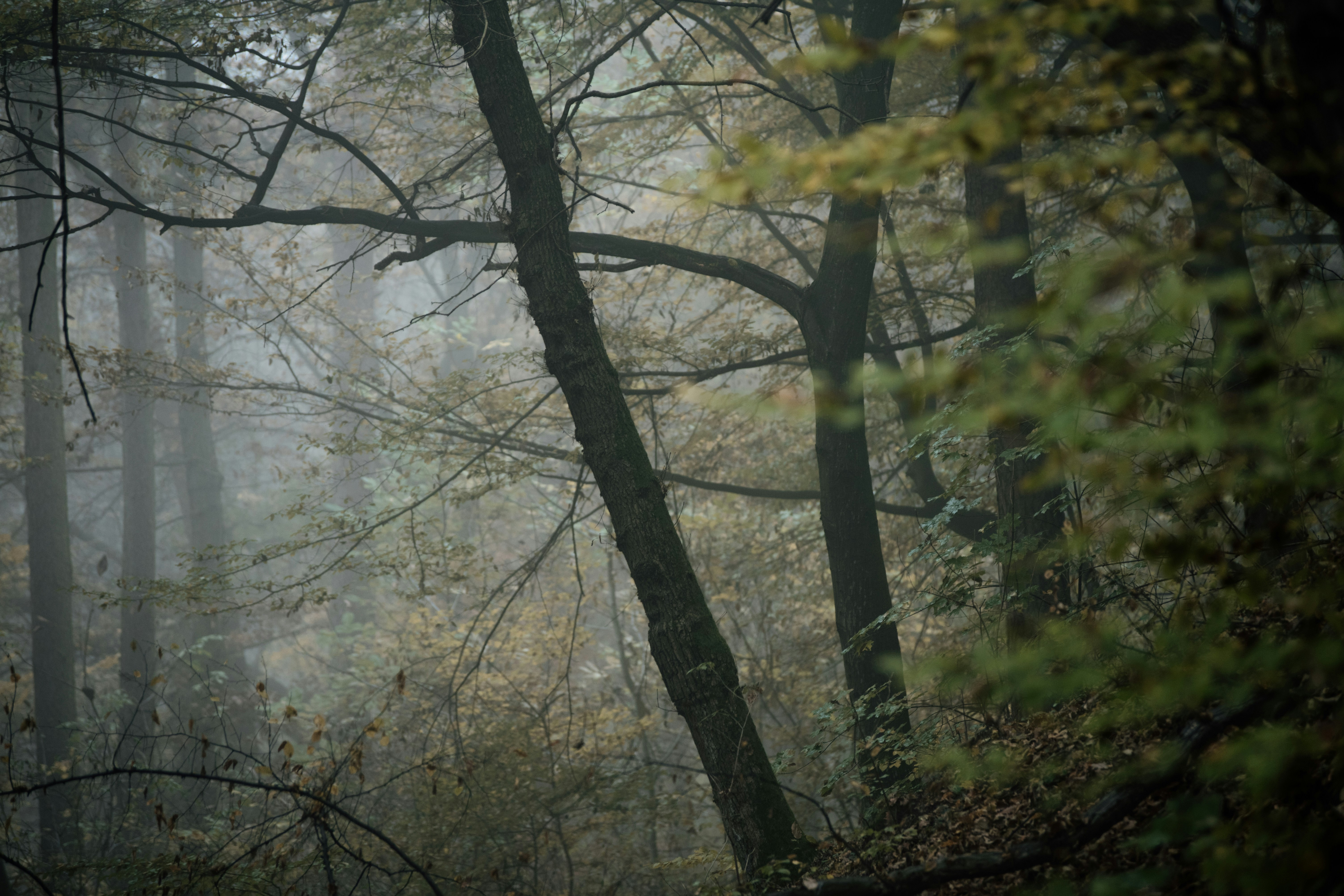 Photo by eduardgross