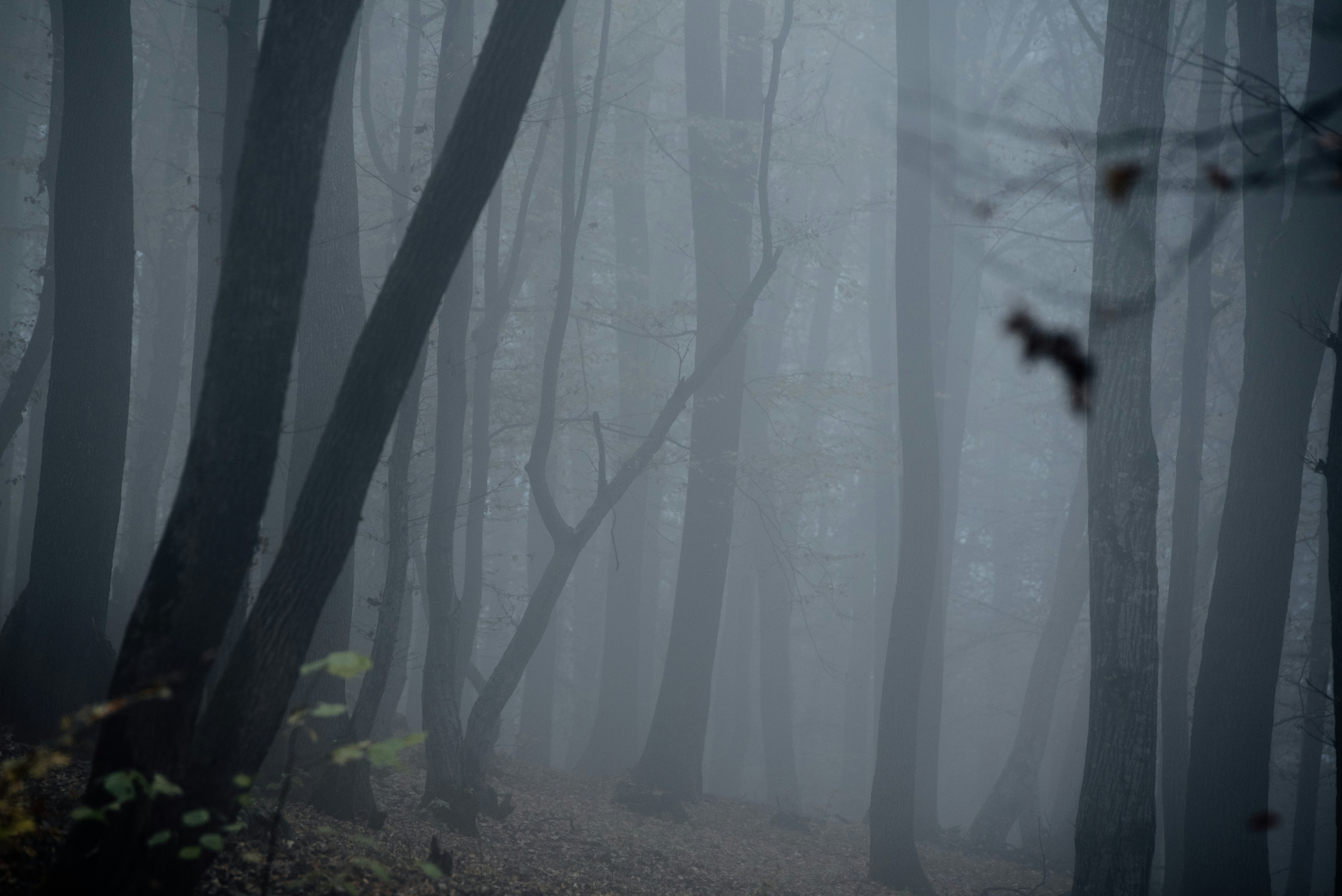 Photo by eduardgross