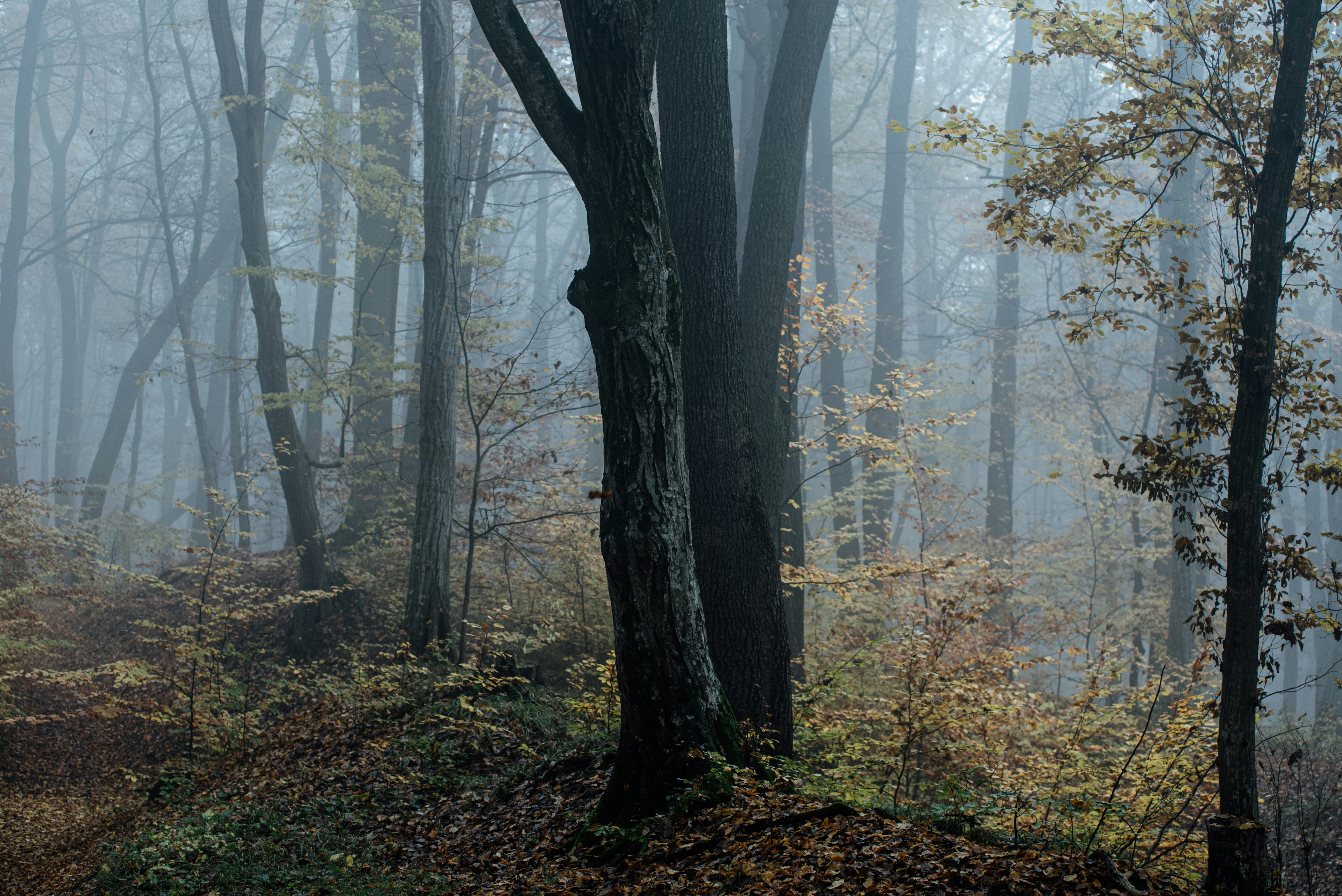 Photo by eduardgross