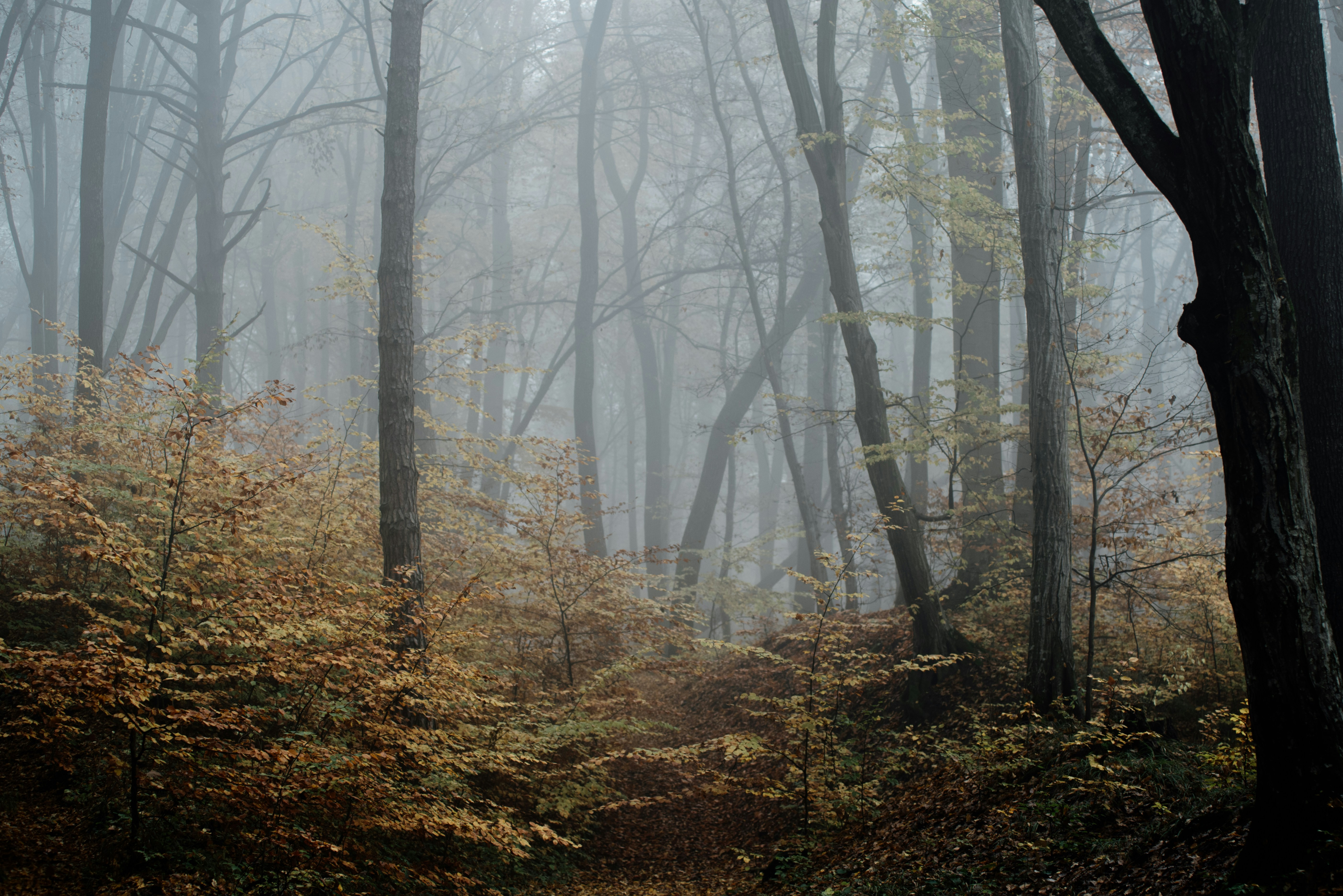 Photo by eduardgross