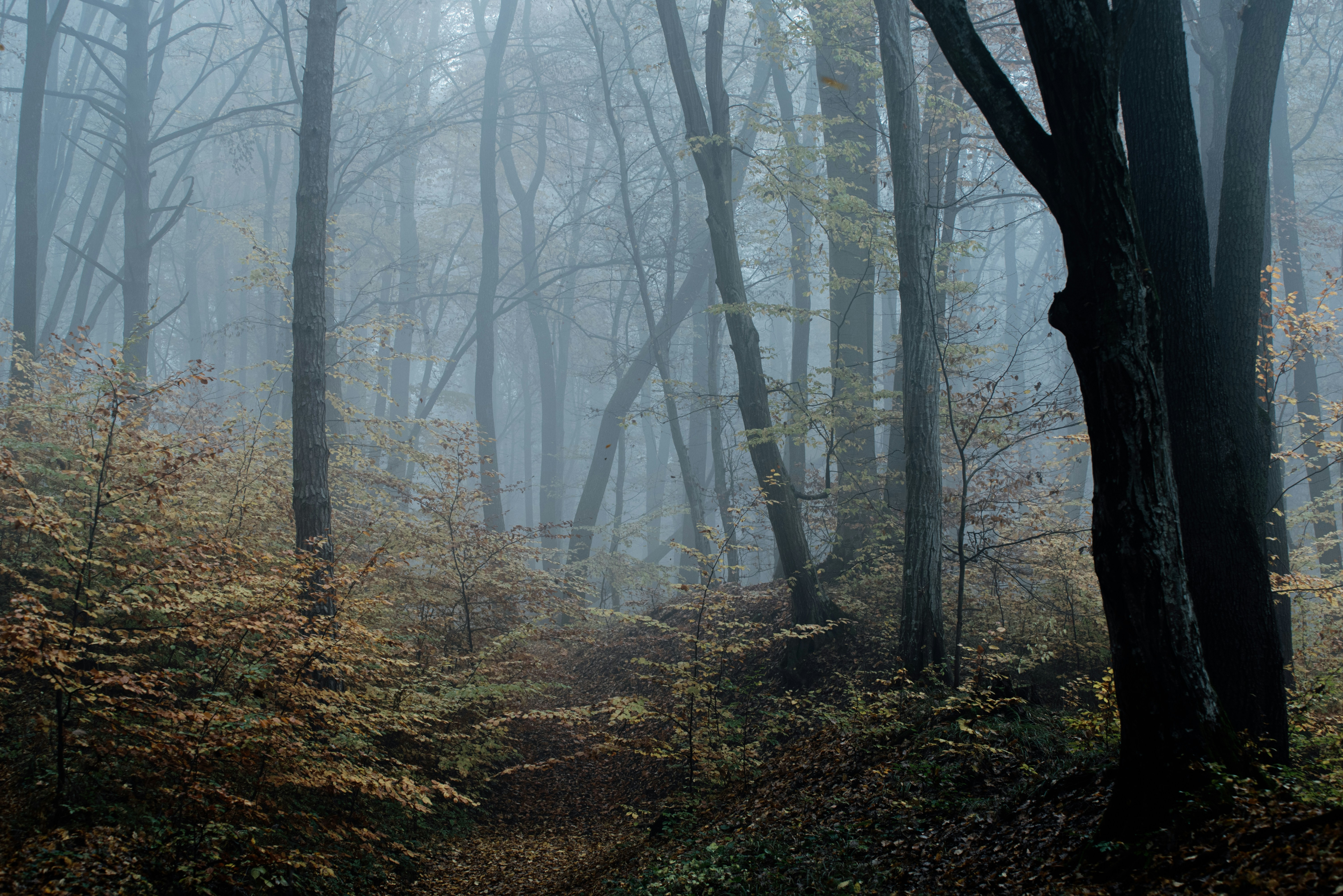 Photo by eduardgross