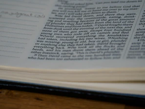 Close-up of hands flipping through the pages of a 'Books of Riches' book, highlighting inspiring chapter titles