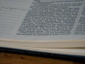 A close-up of a summary page with chapter highlights underlined