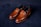 A pair of elegant brown leather loafers with a sleek design and gold detailing on a dark, textured background. The shoes have a polished finish and visible stitching around the edges.